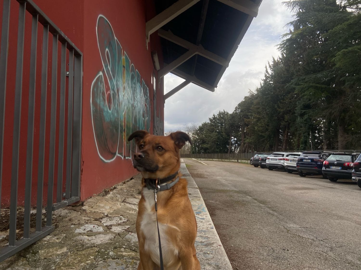 image-6