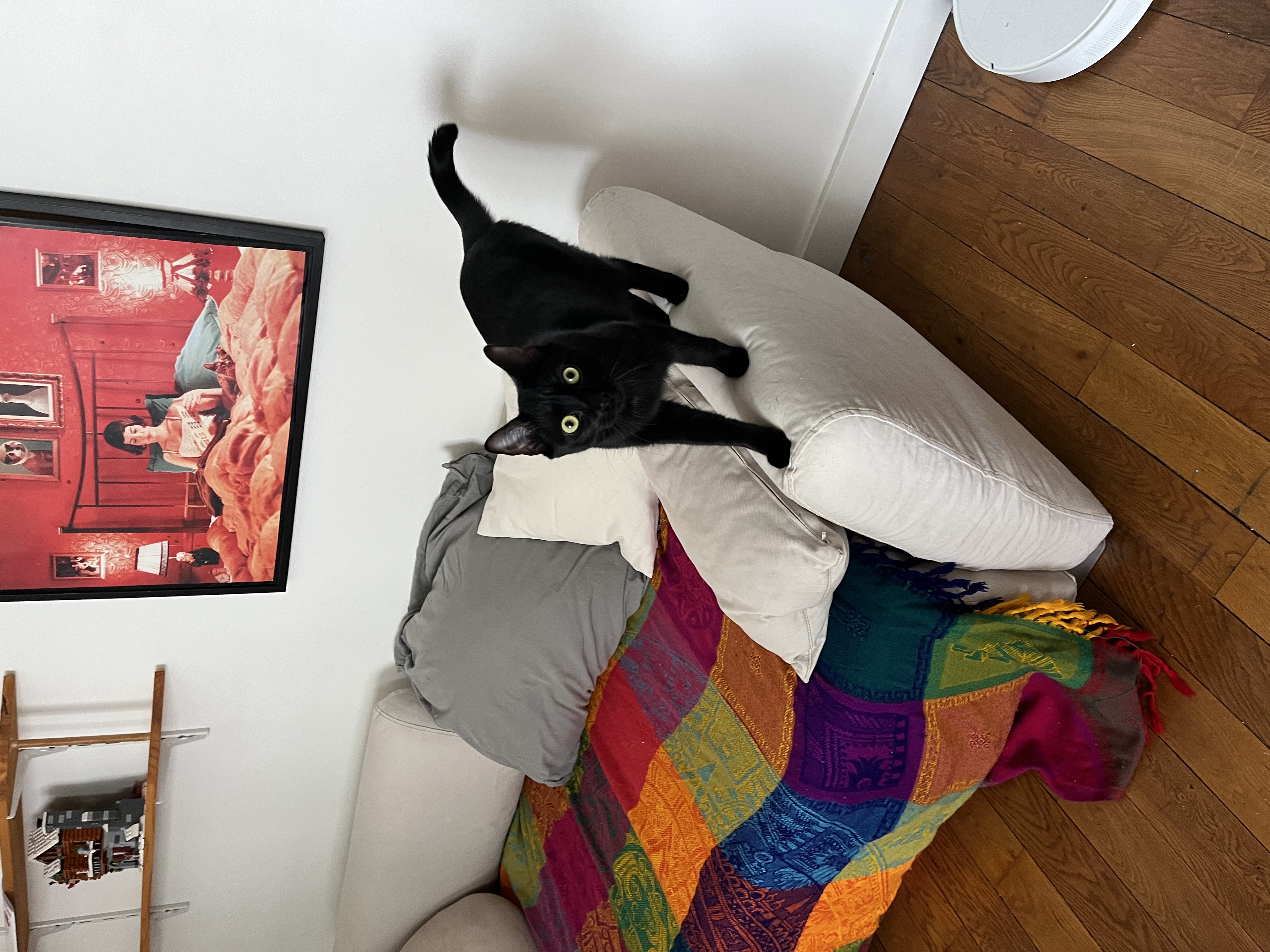 image-10