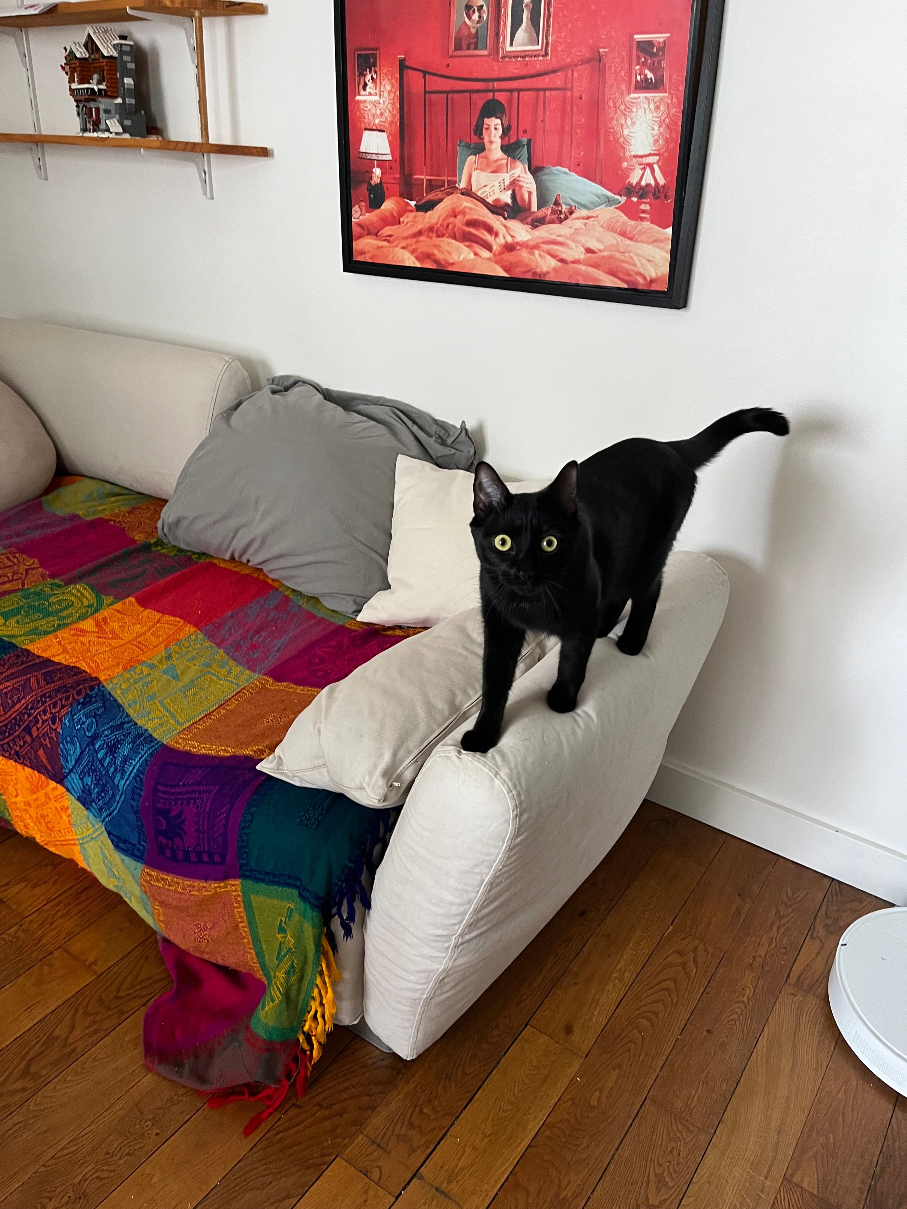 image-10