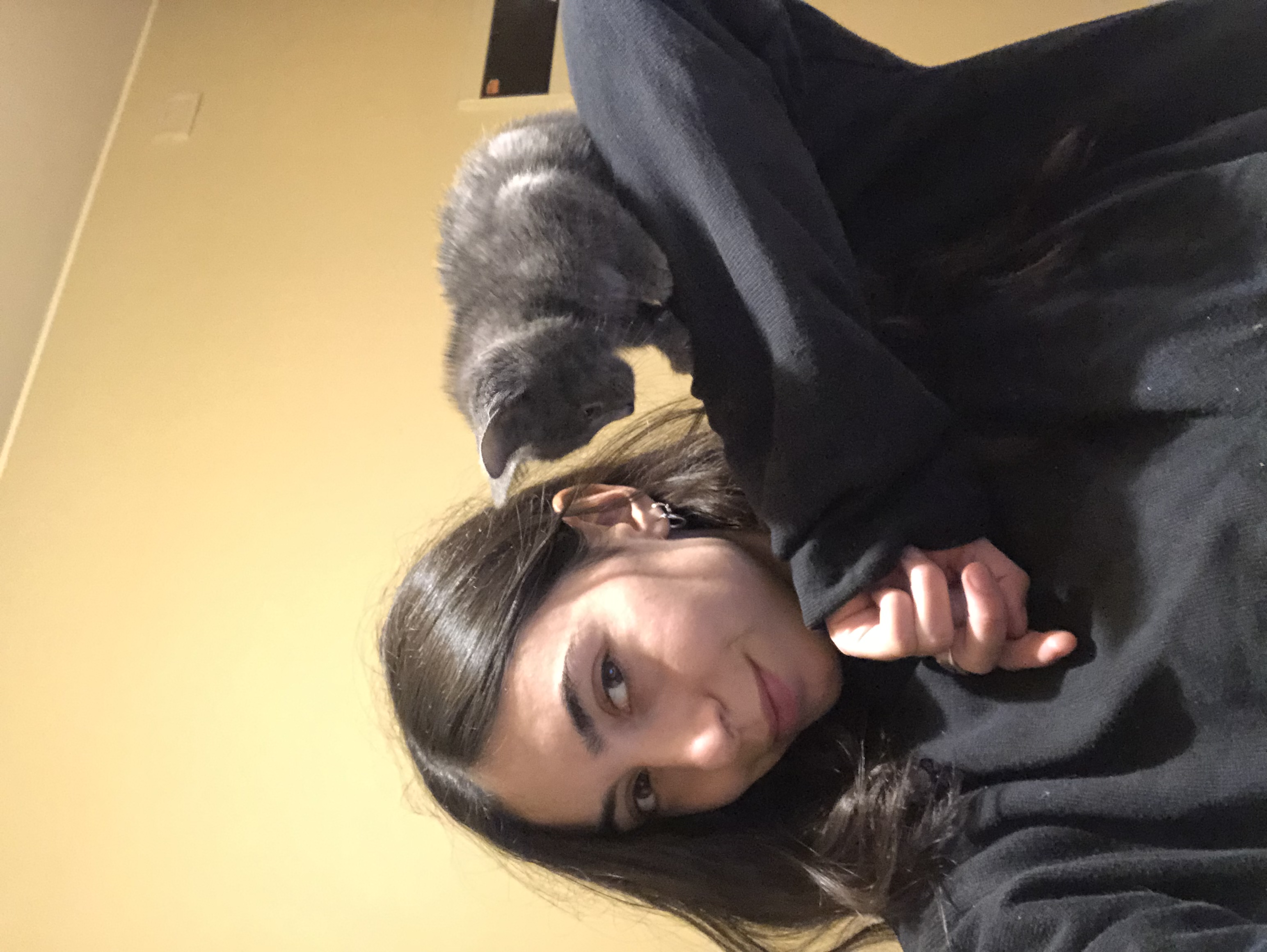 image-6