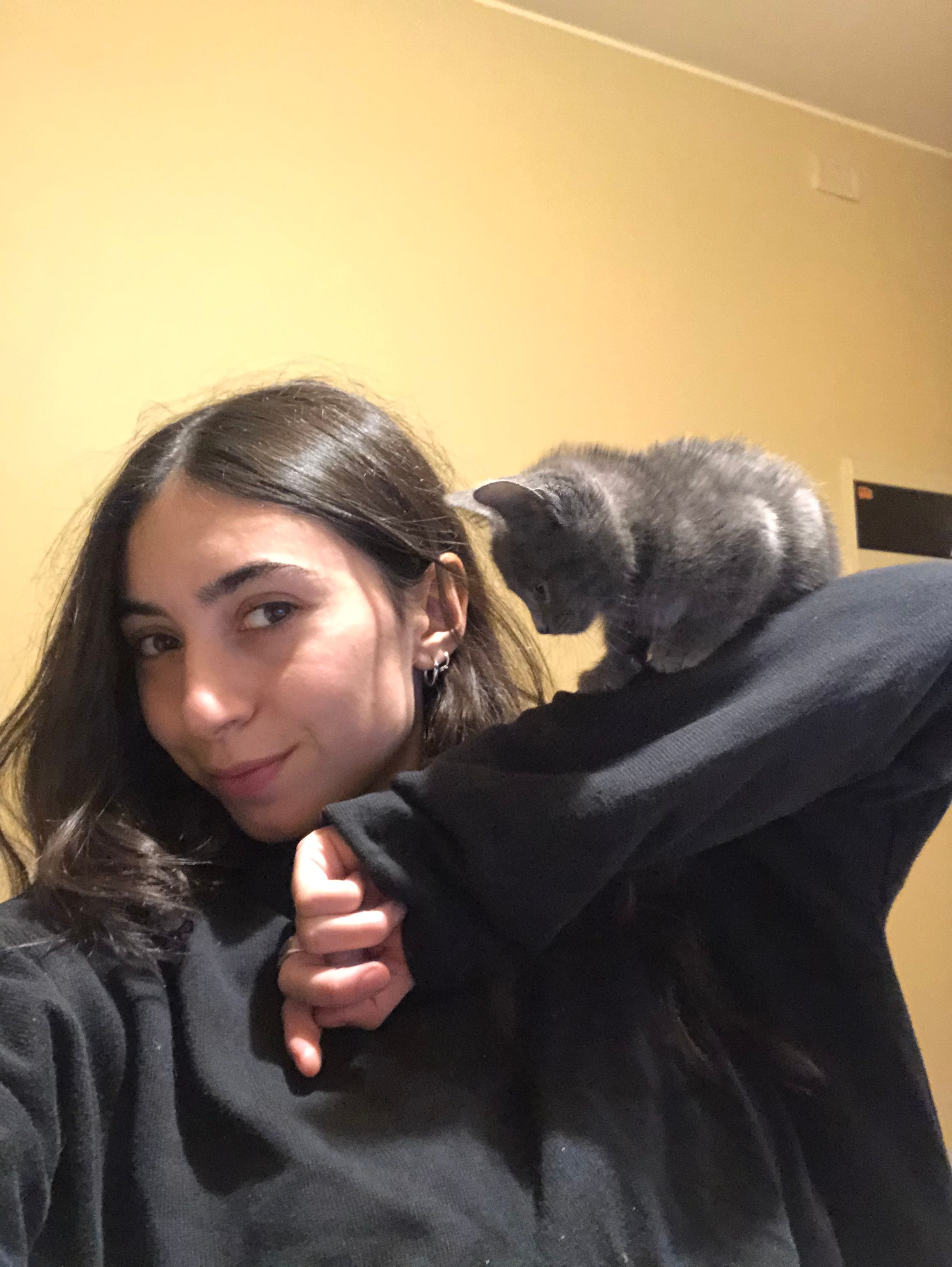 image-6