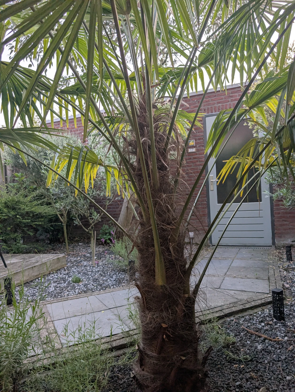 image-14