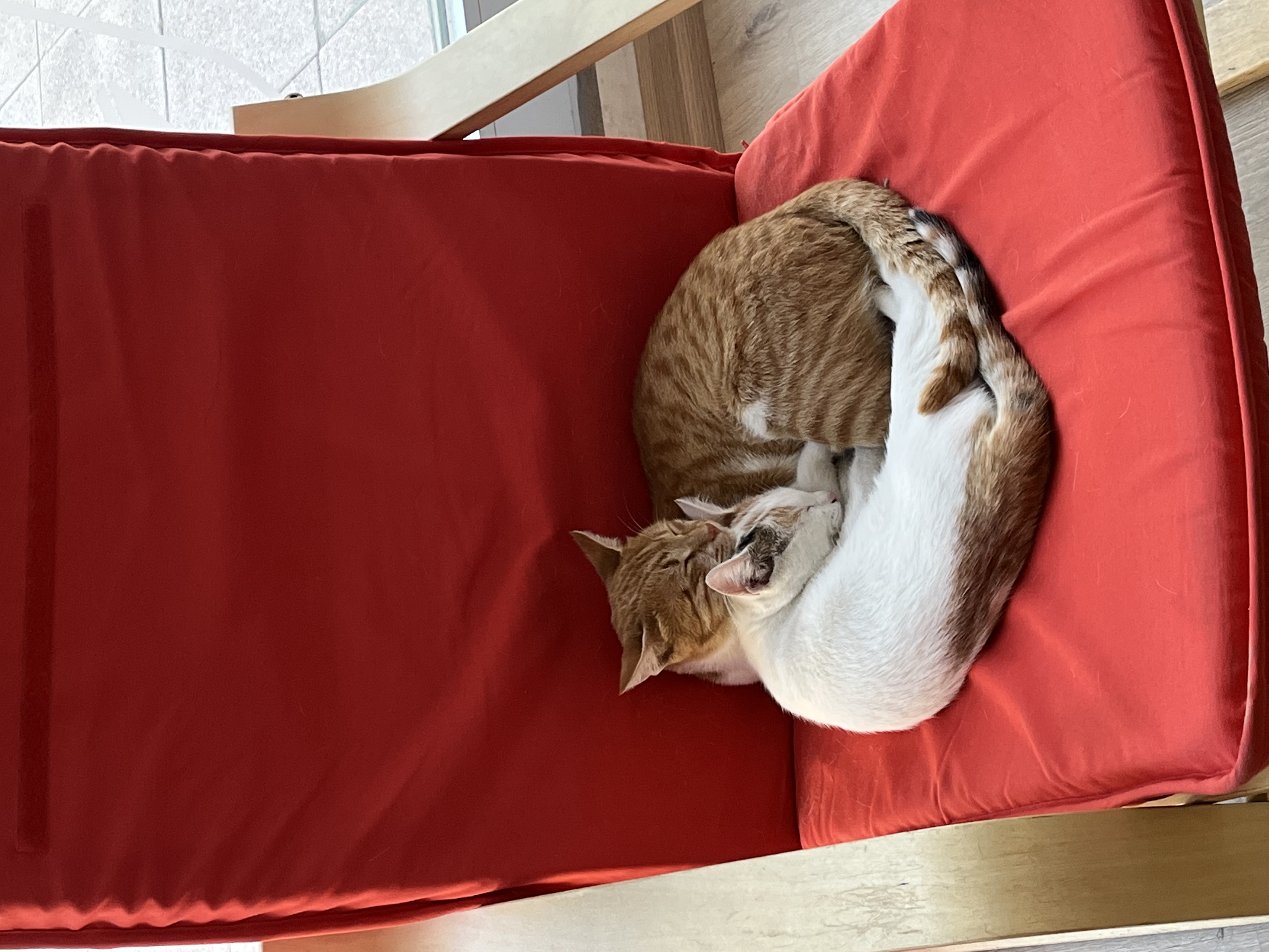 image-8