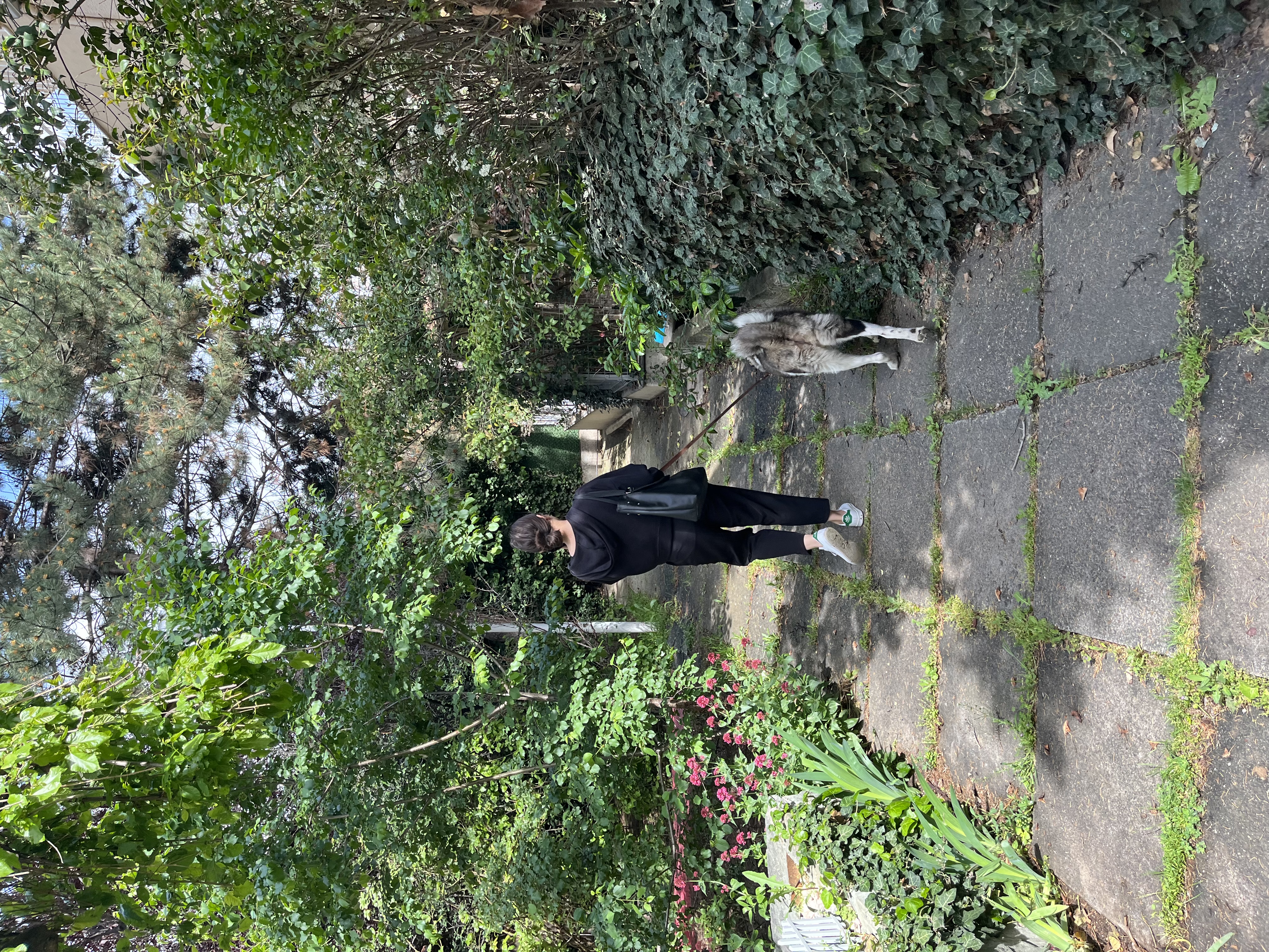 image-5