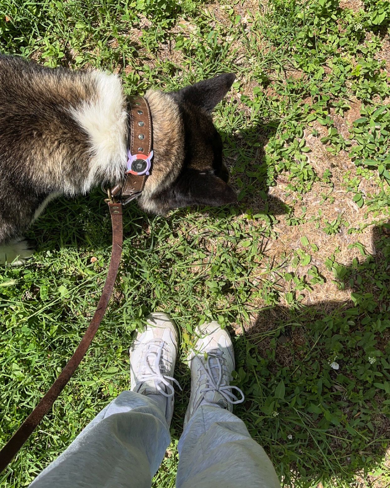 image-6