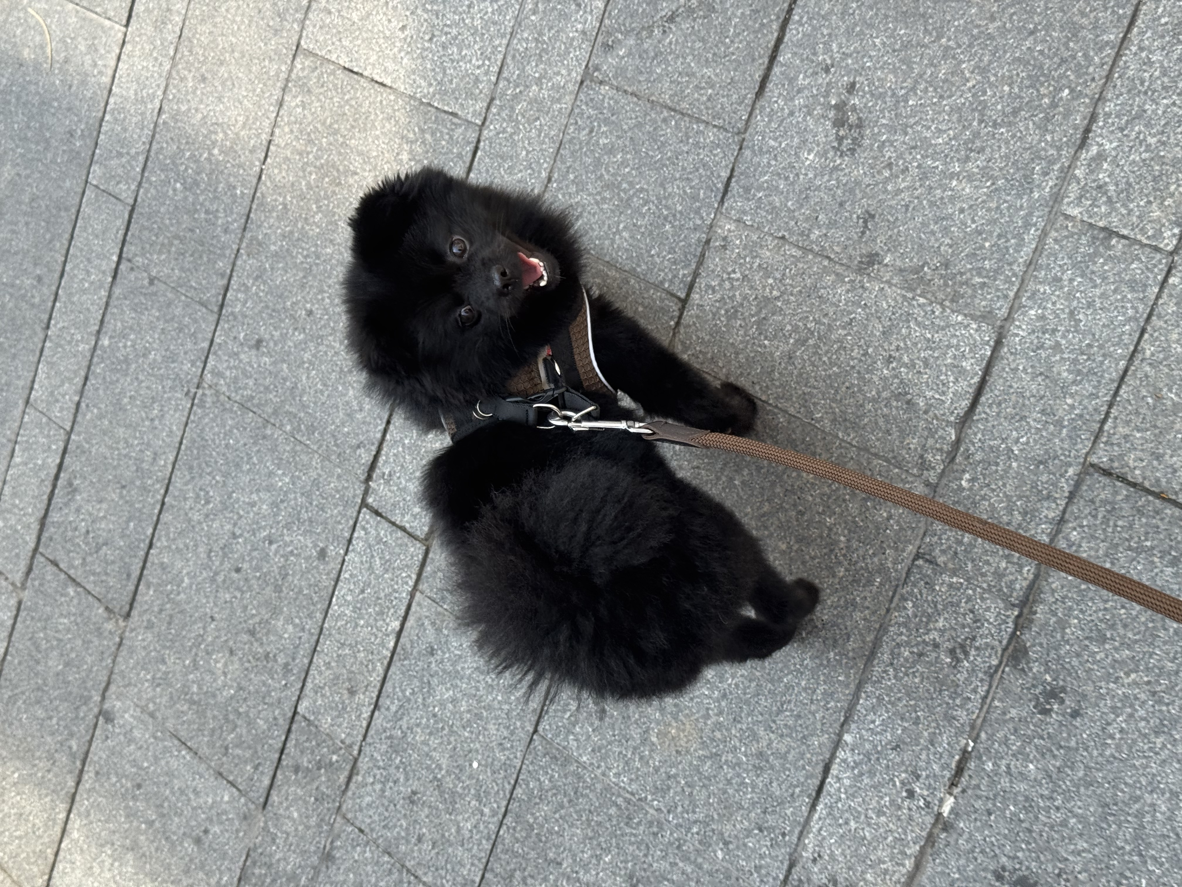 image-15