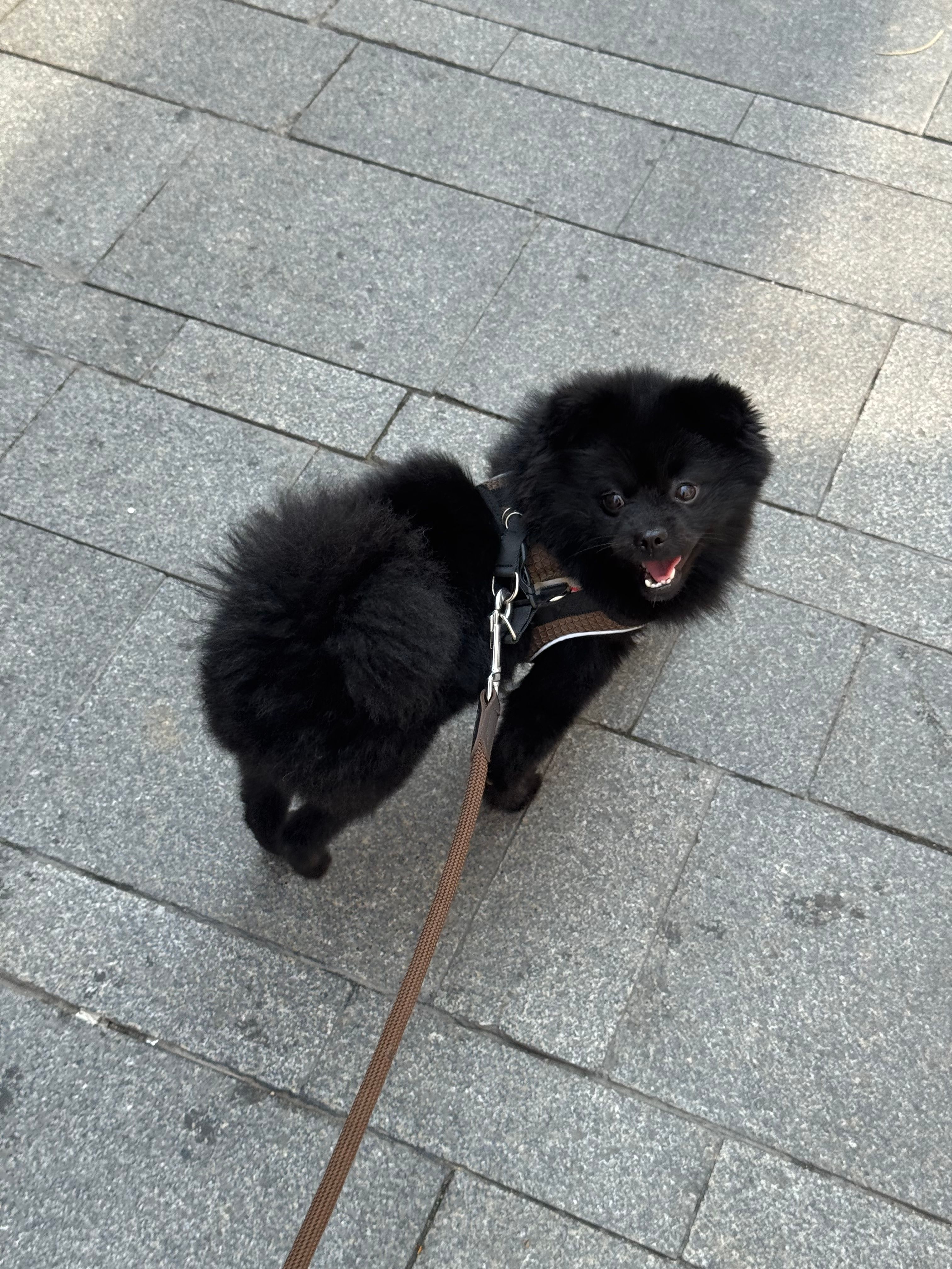 image-15