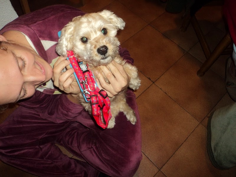 image-8