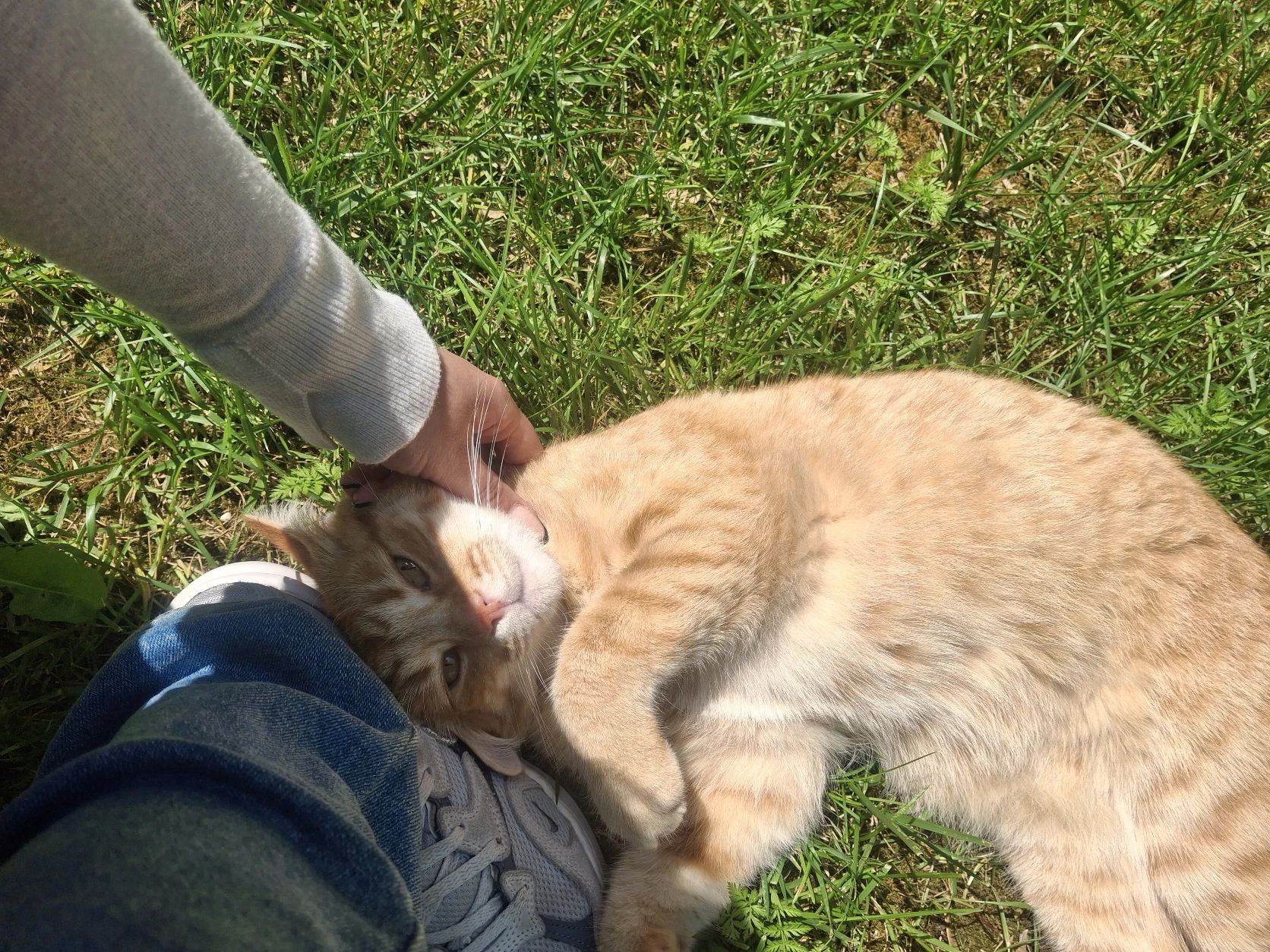 image-6