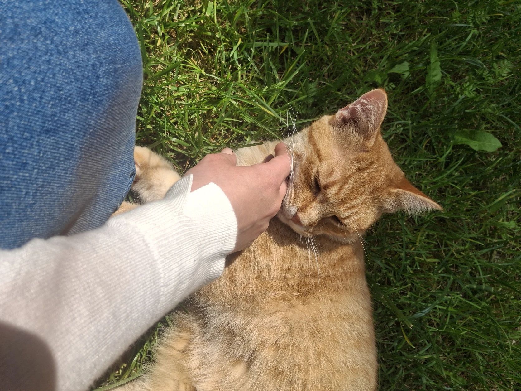 image-5