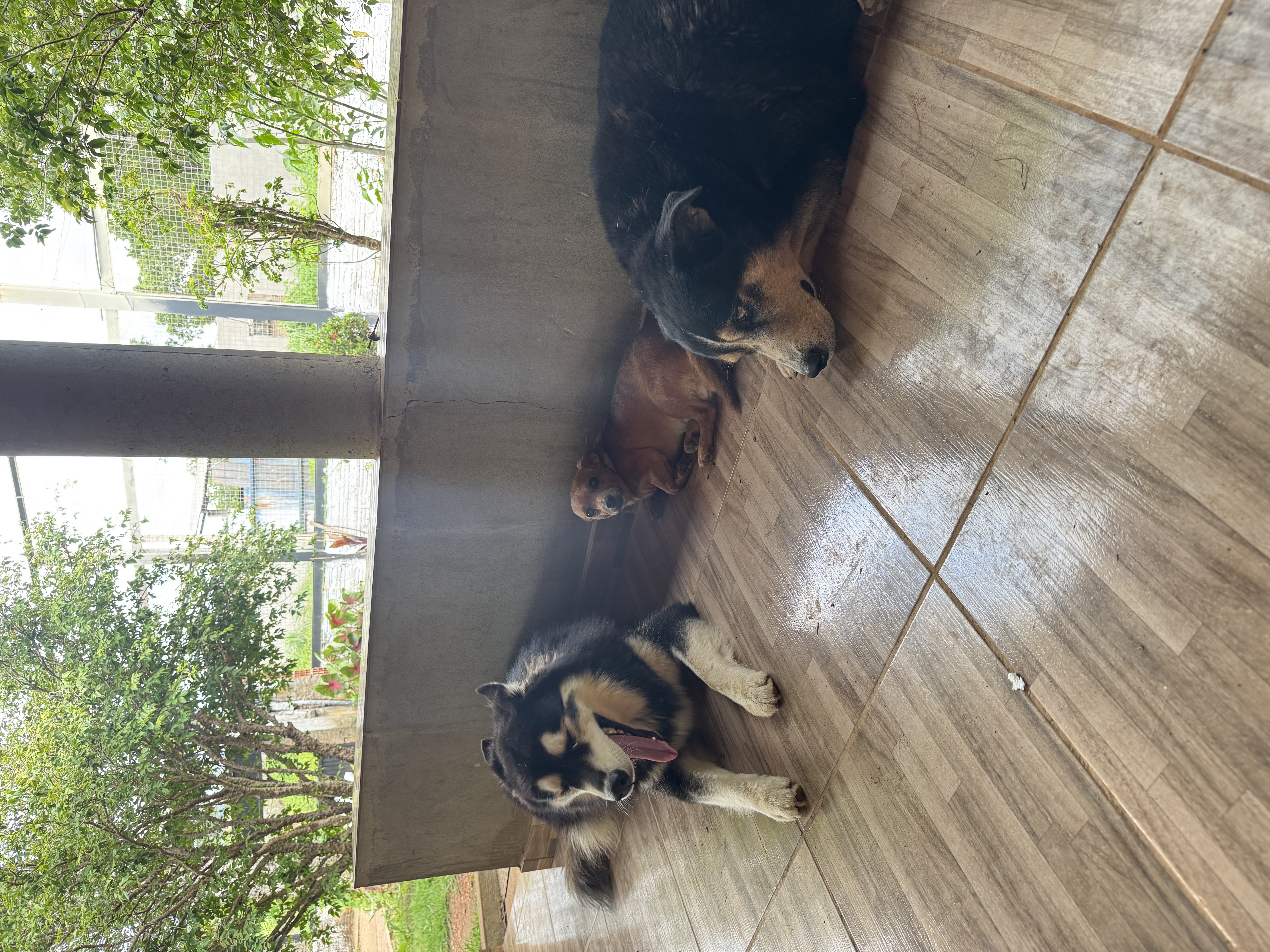 image-7