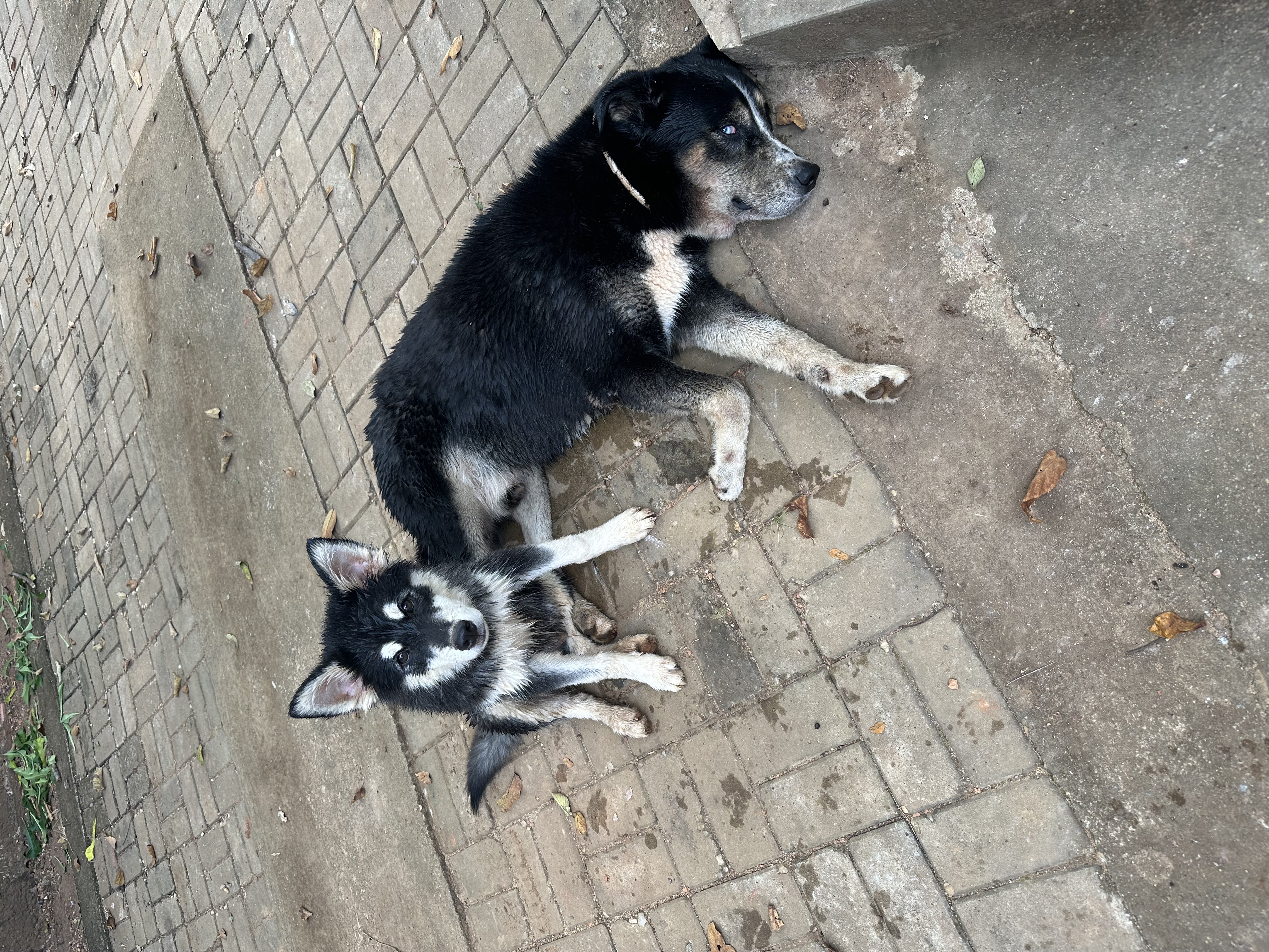 image-8