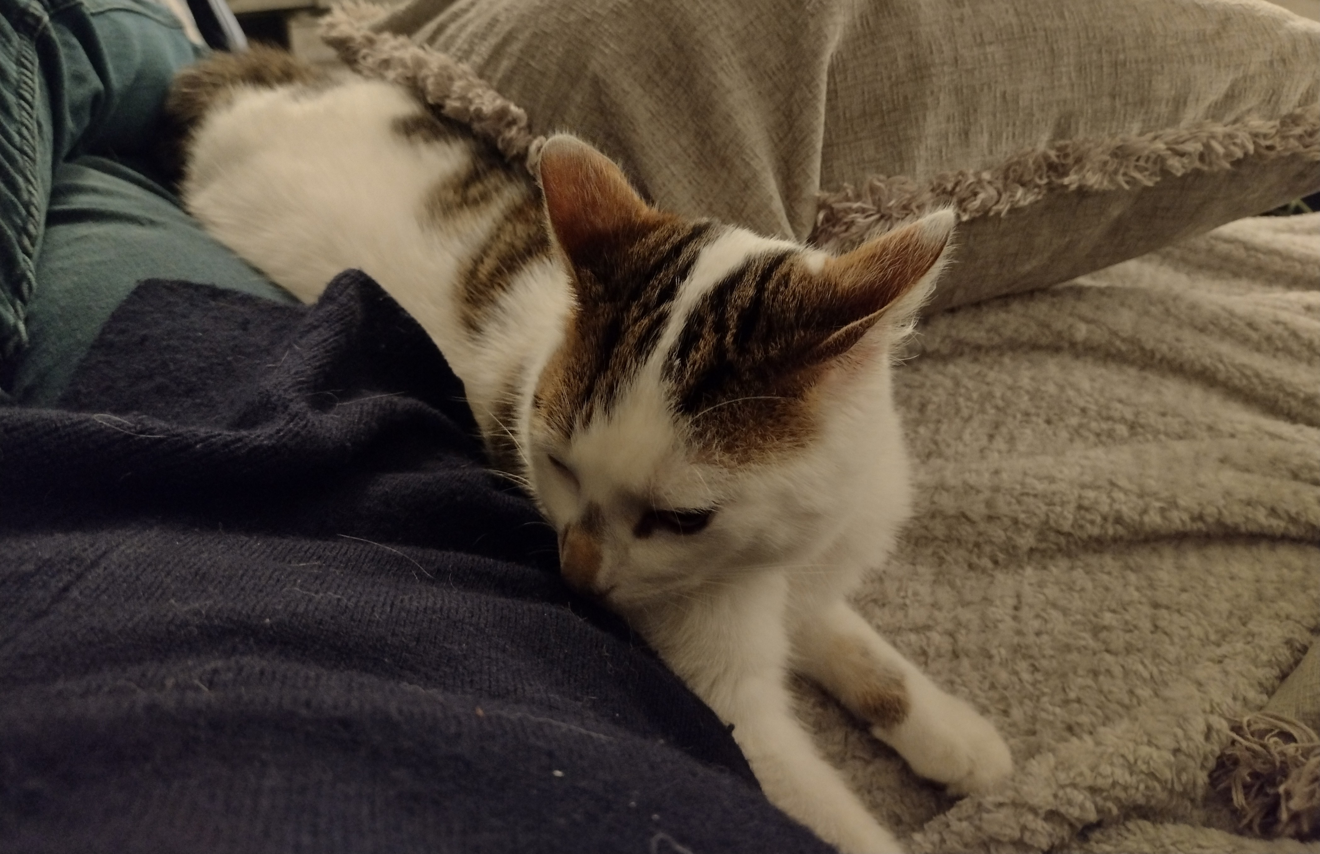 image-10