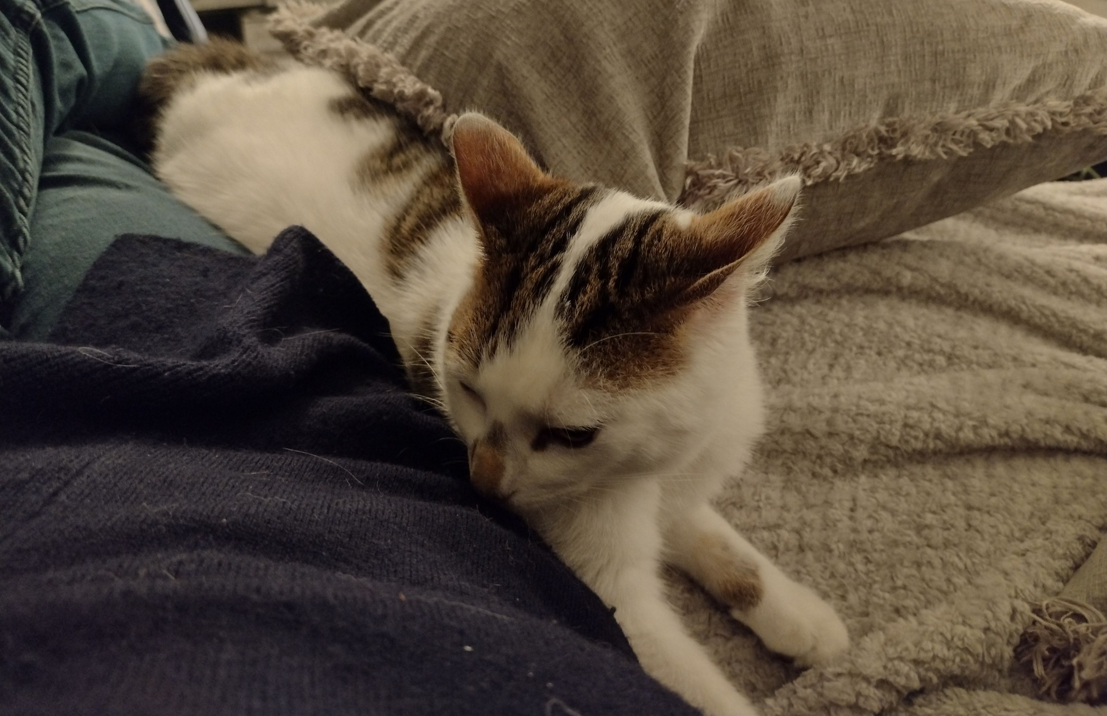 image-10