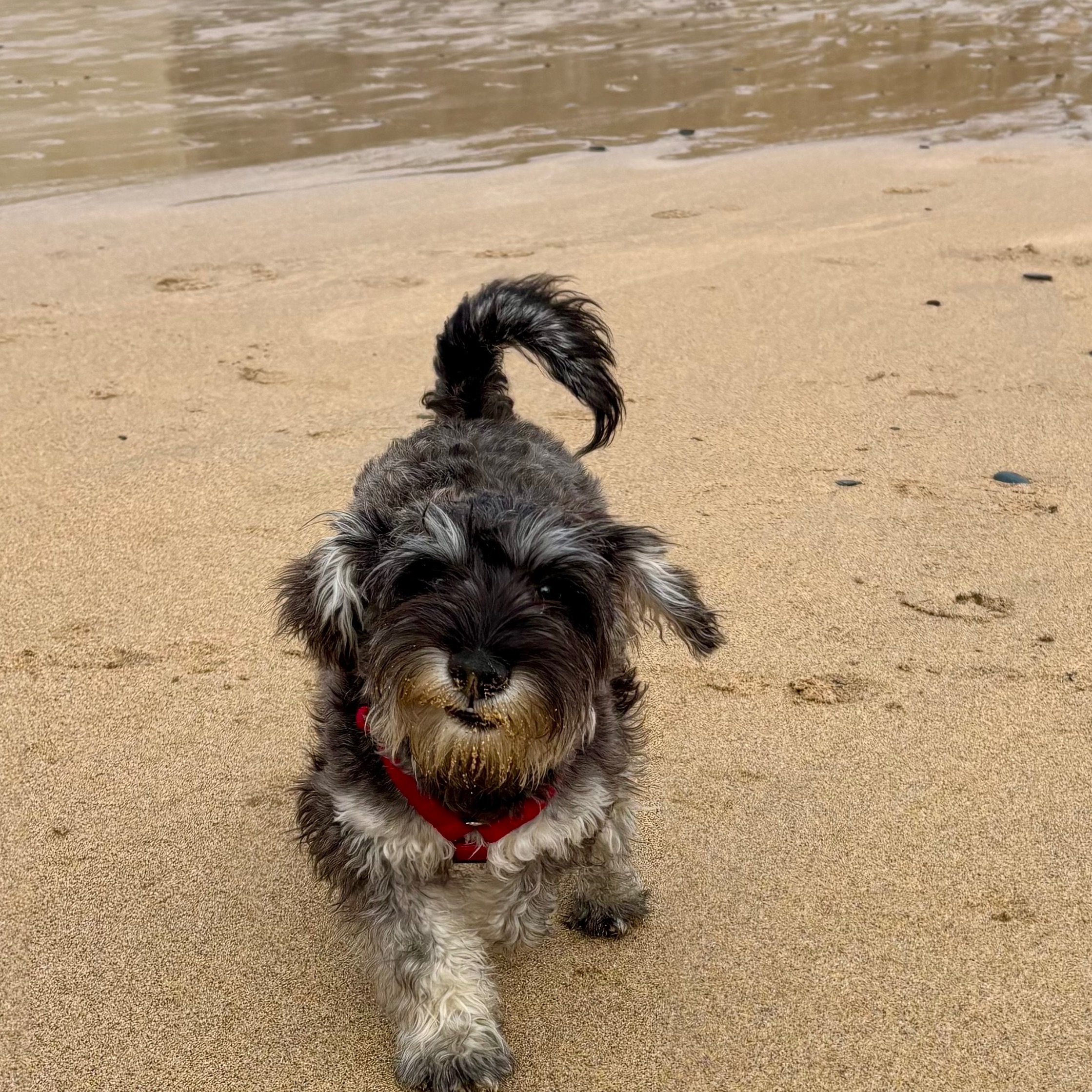 Winnie 