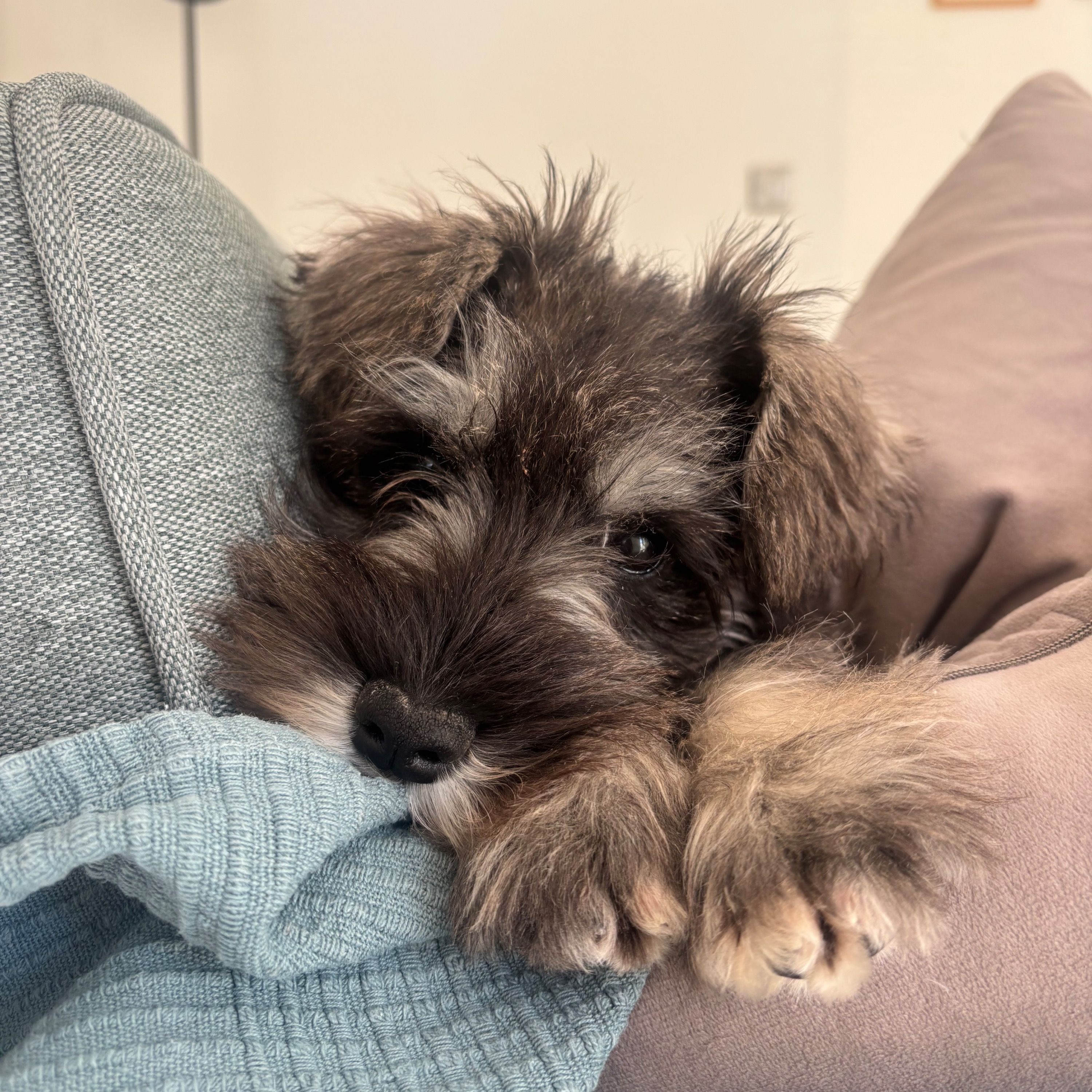 Winnie