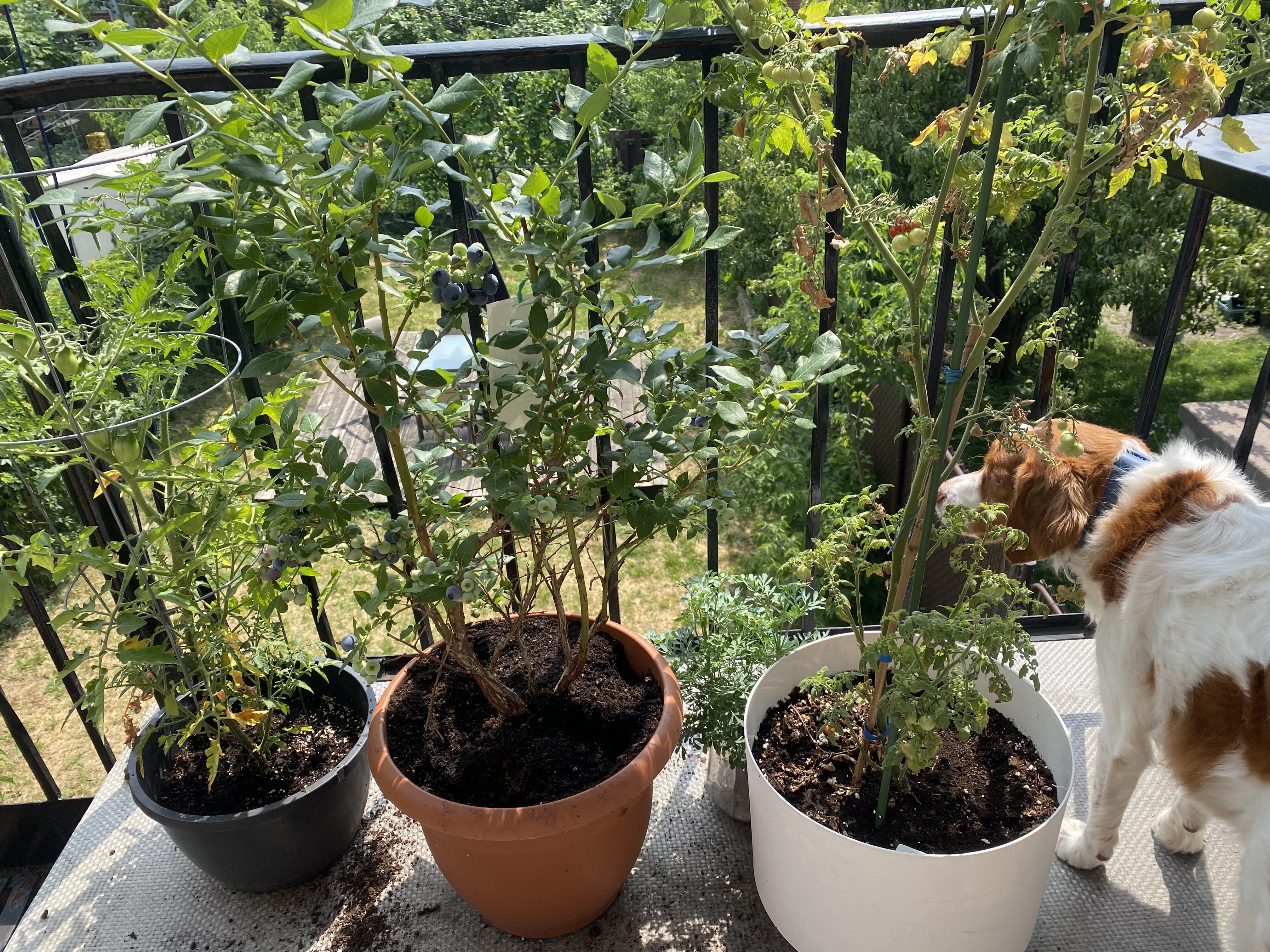image-14