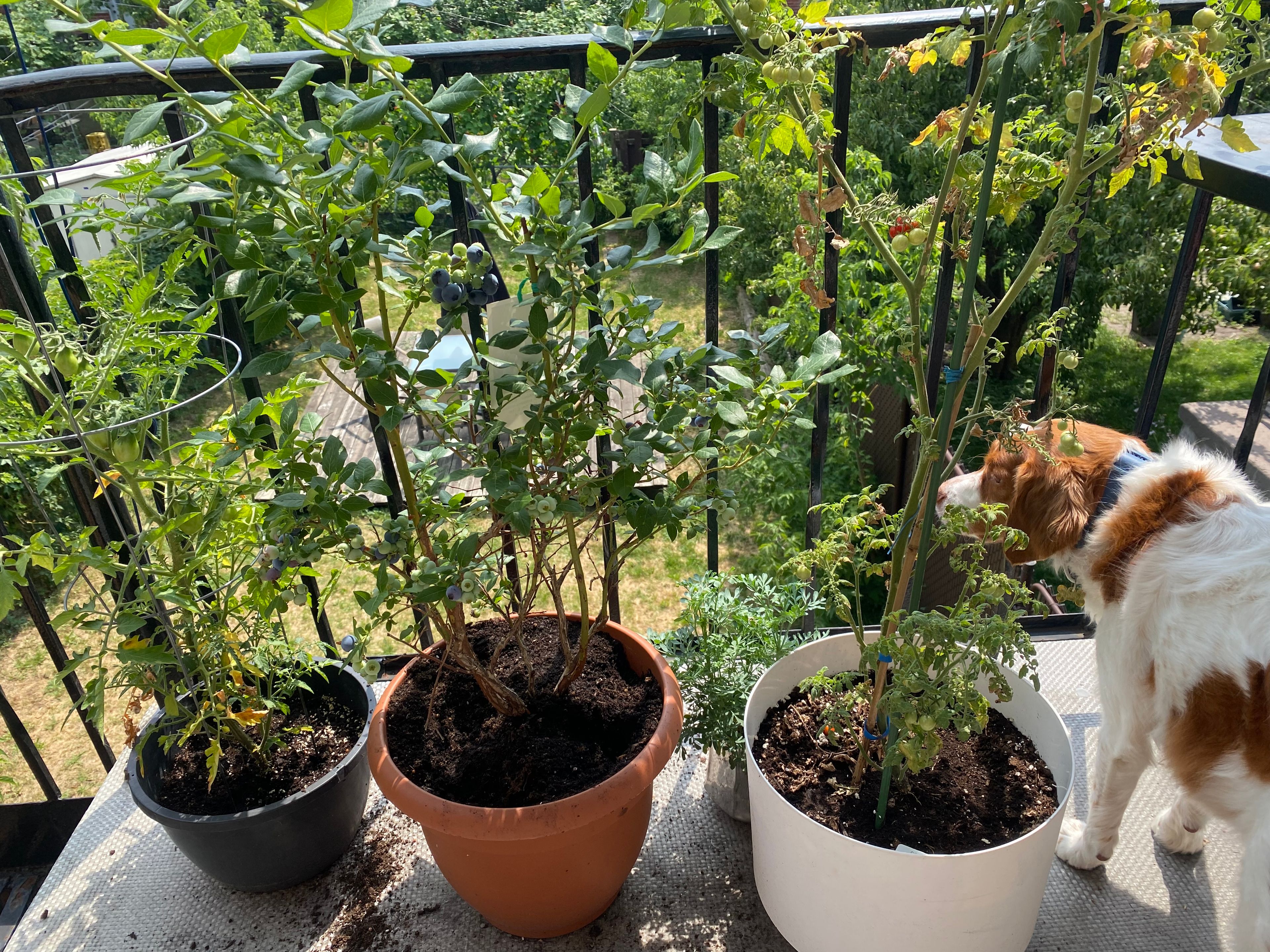 image-14