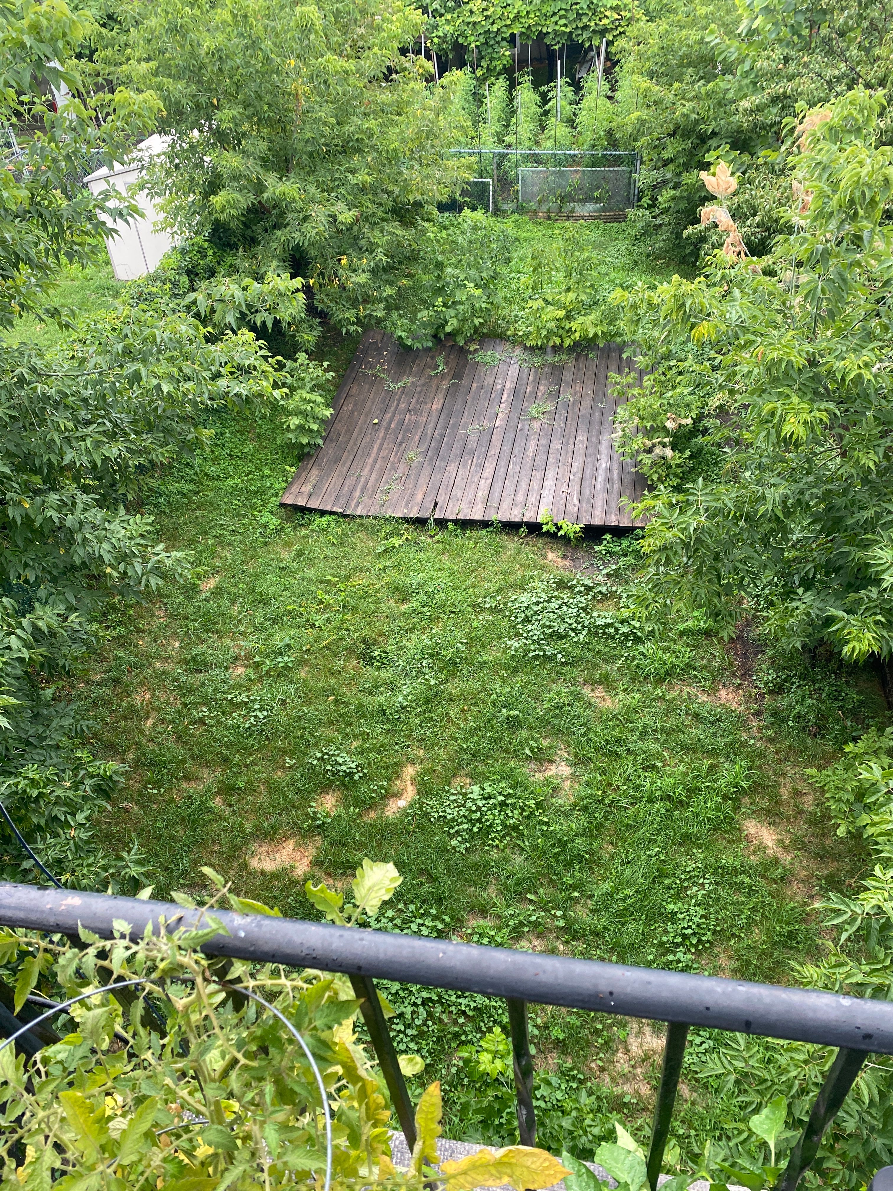 image-20