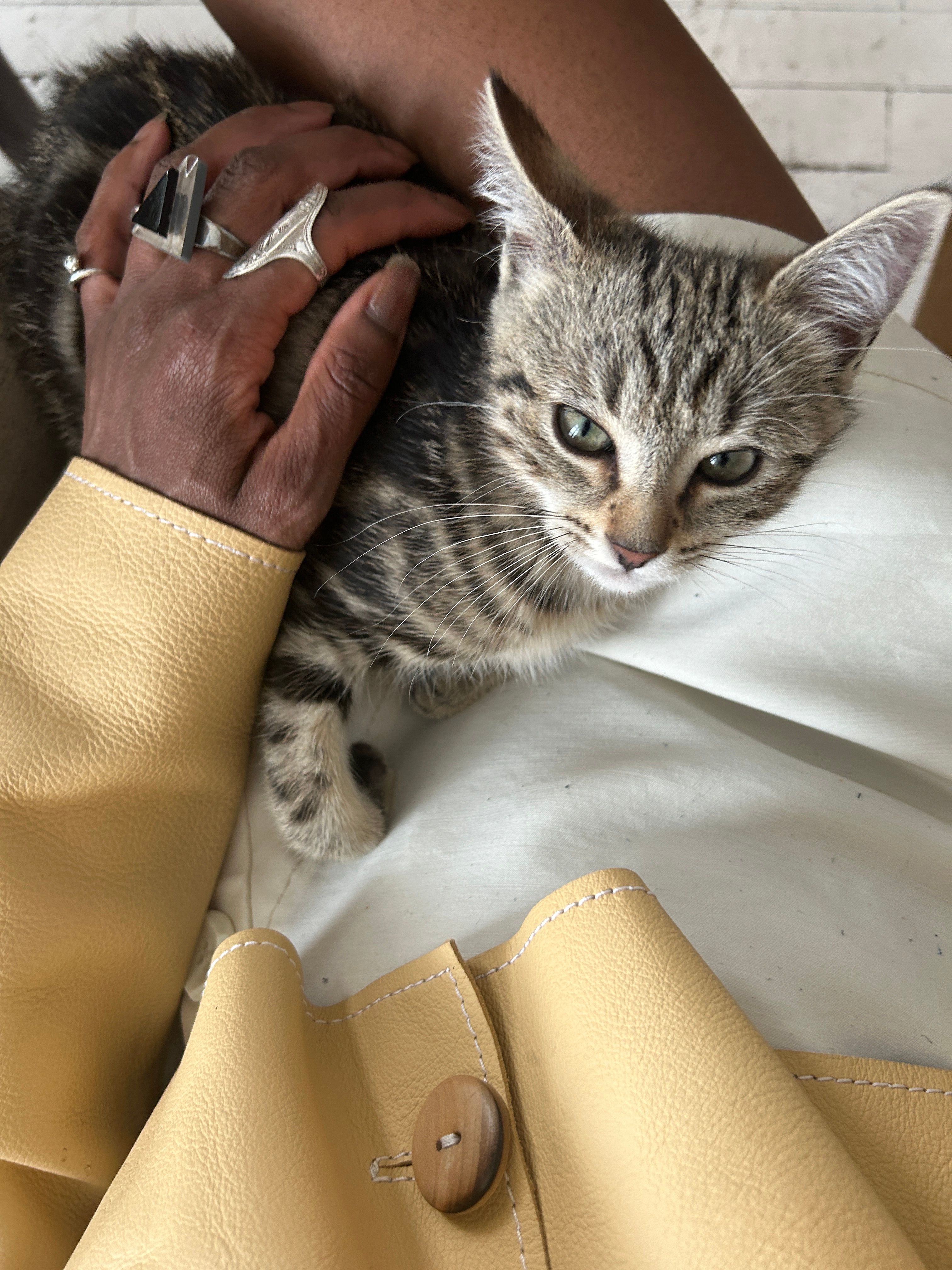 image-6
