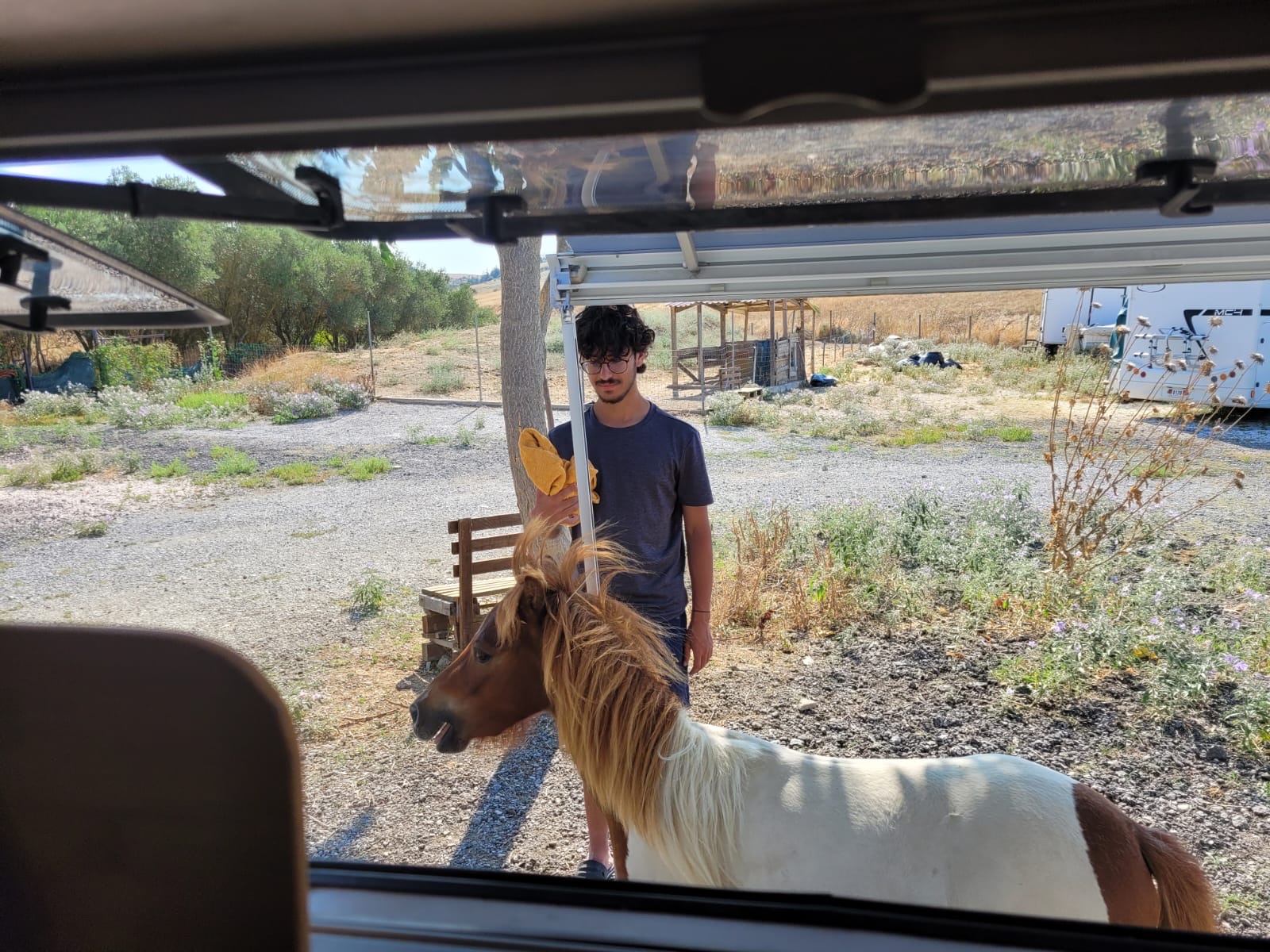 image-2