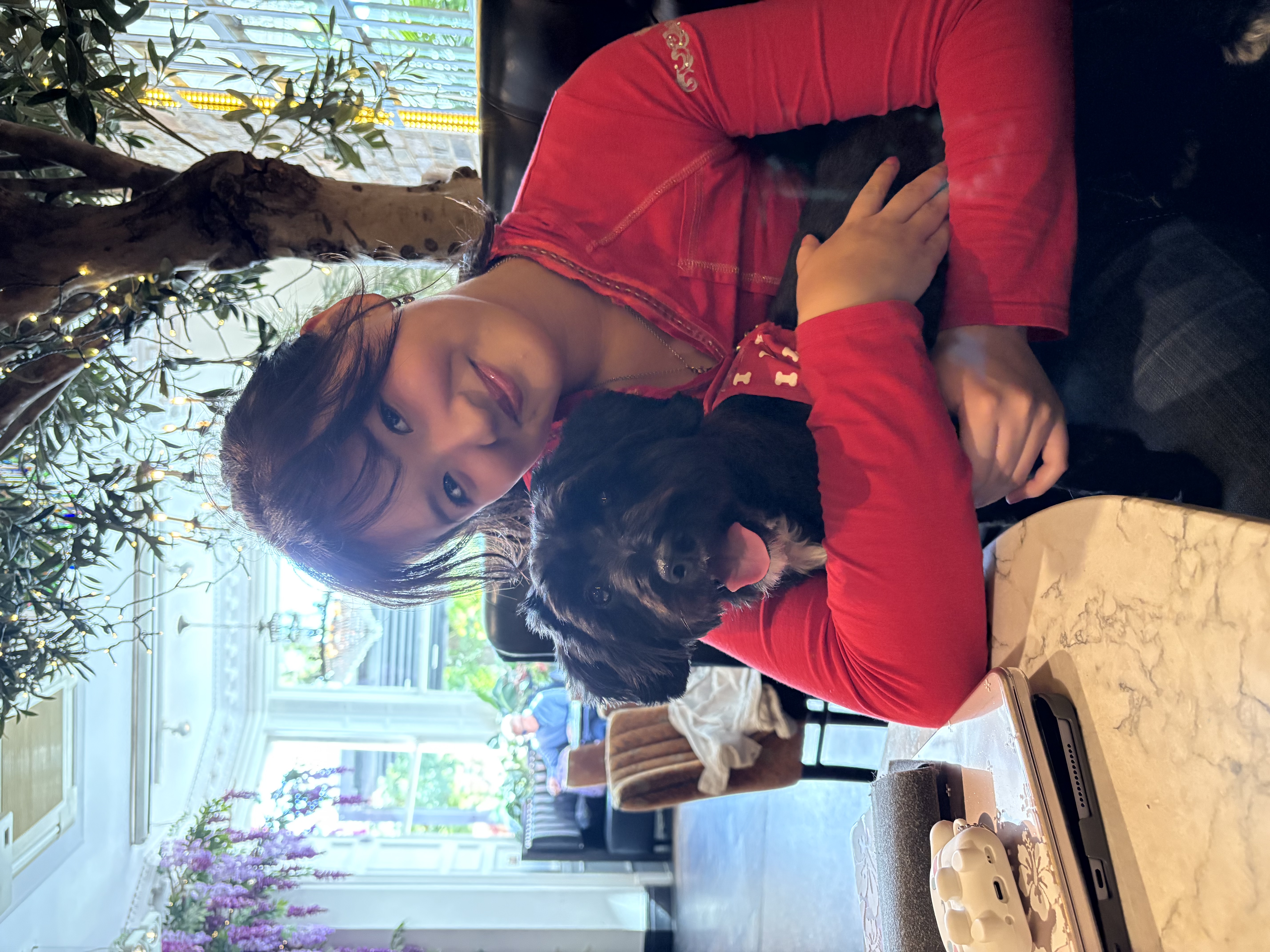 image-13