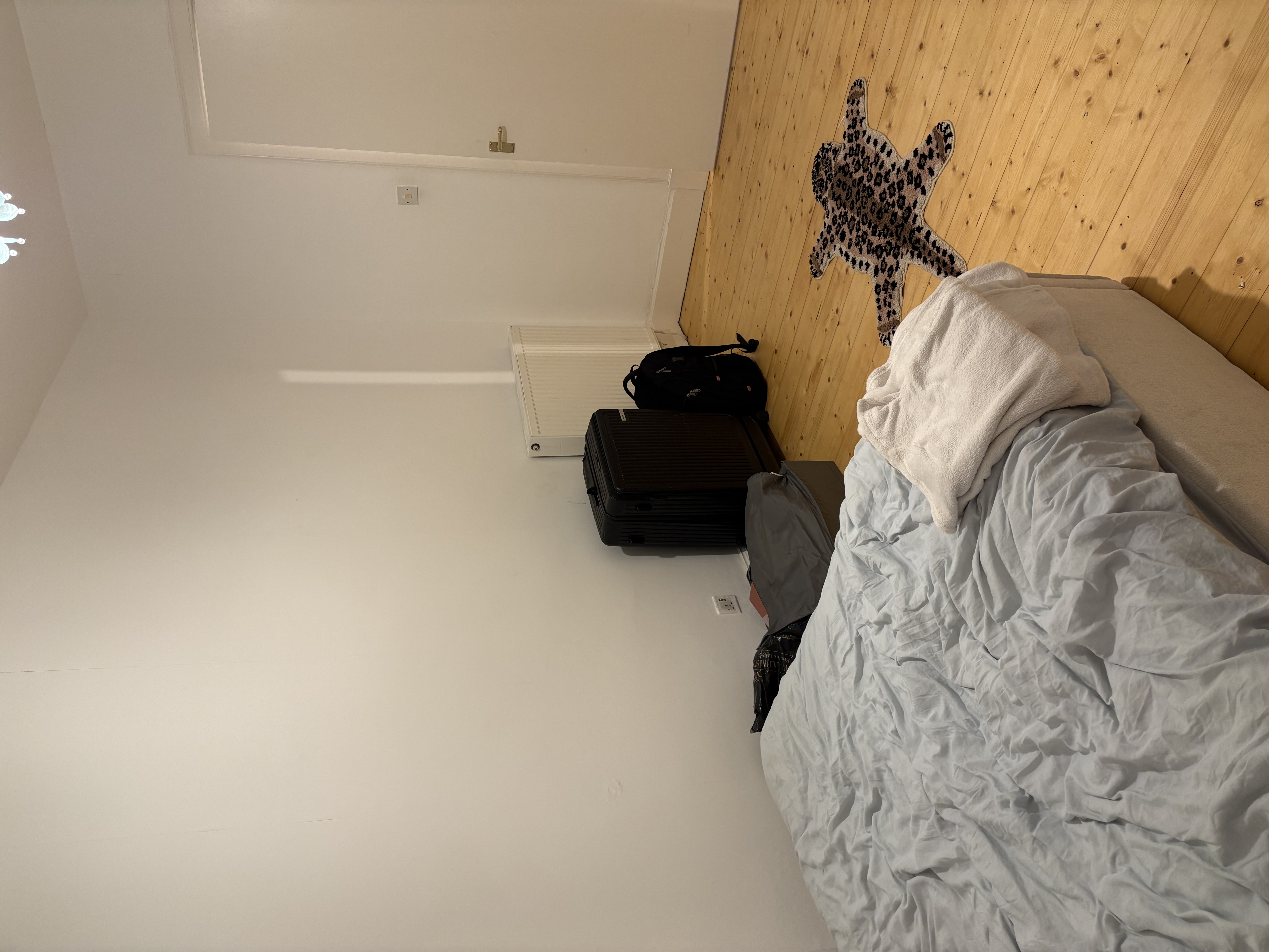 image-19