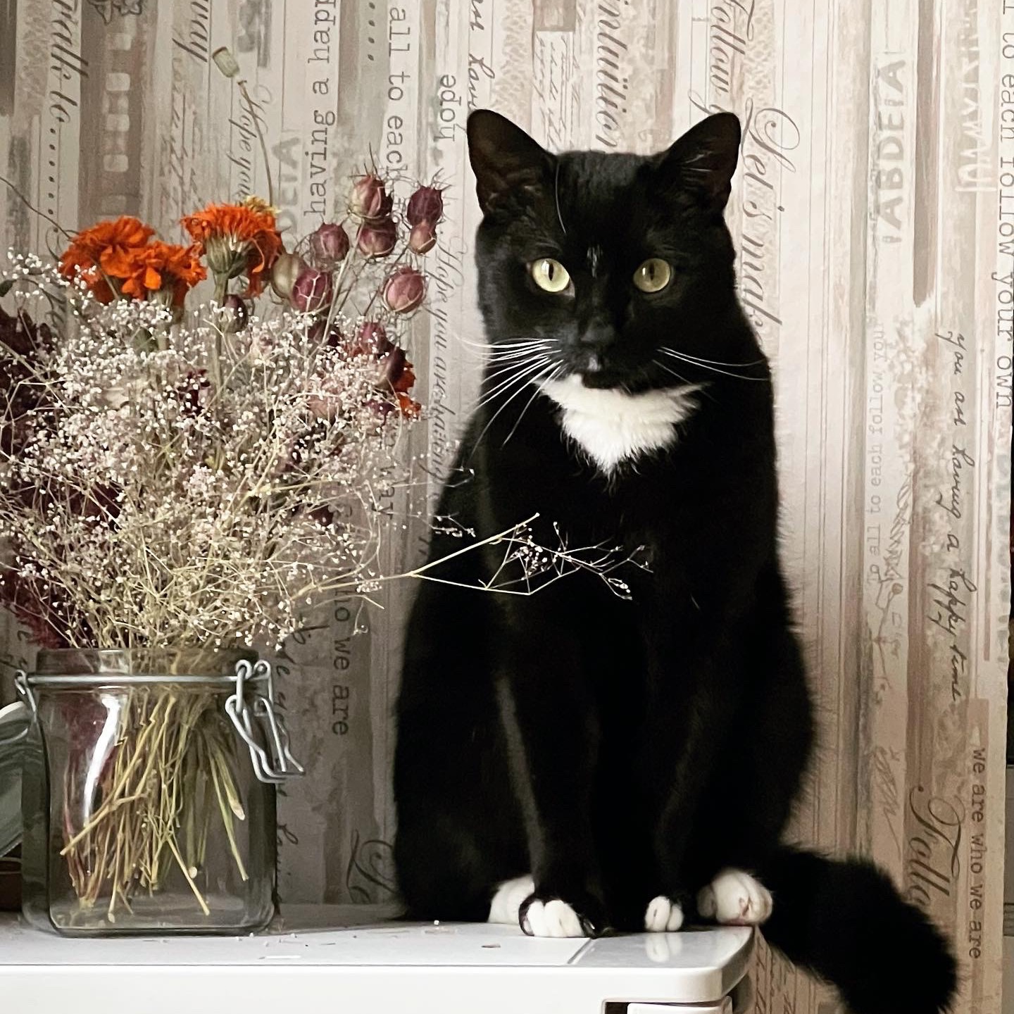 Milo