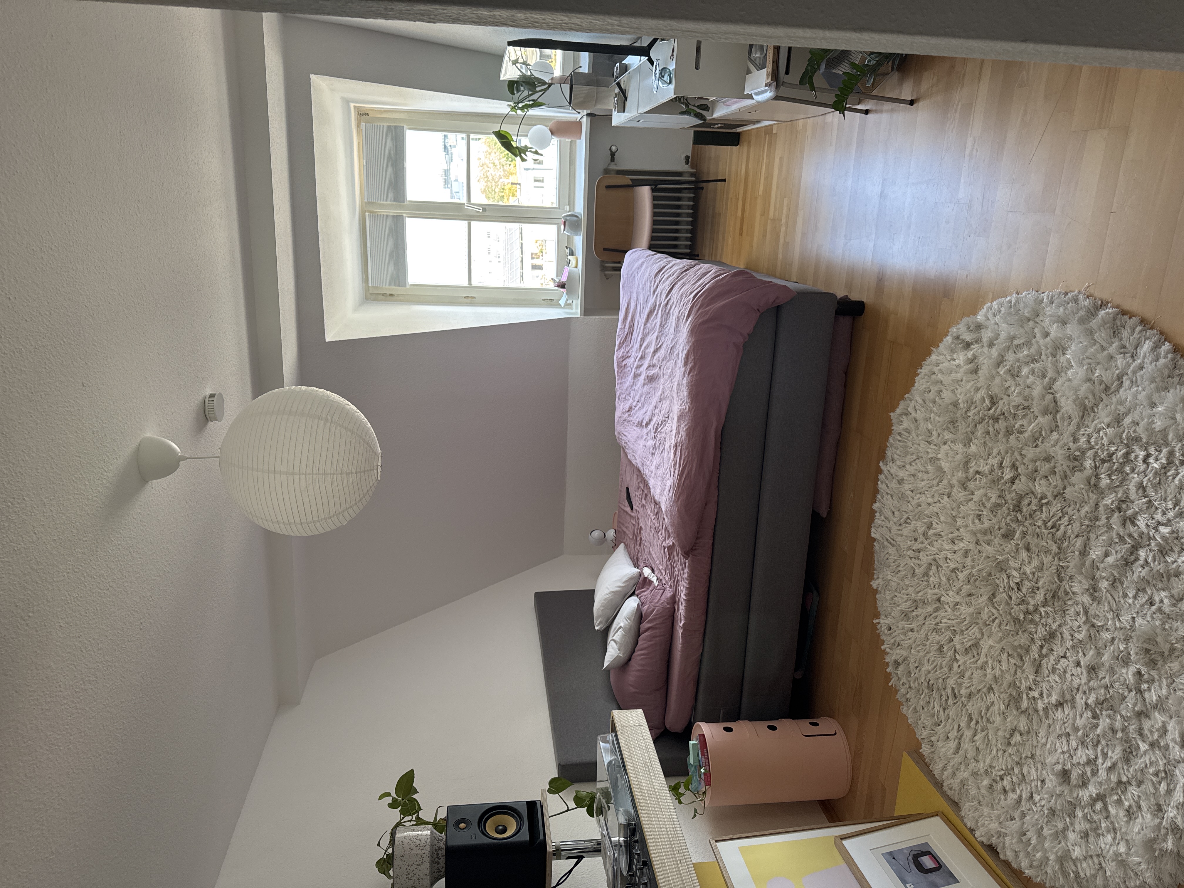 image-19