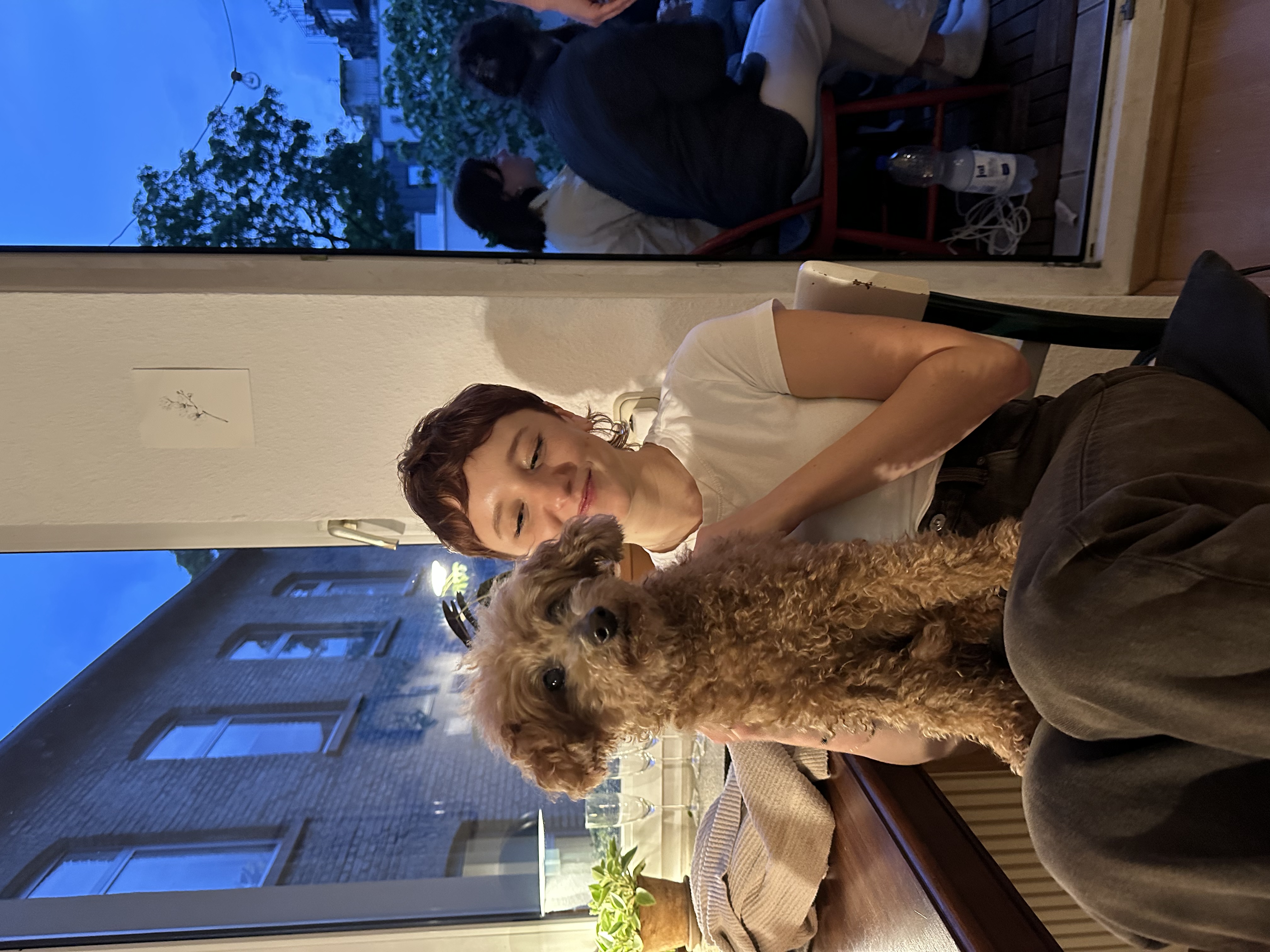 image-7