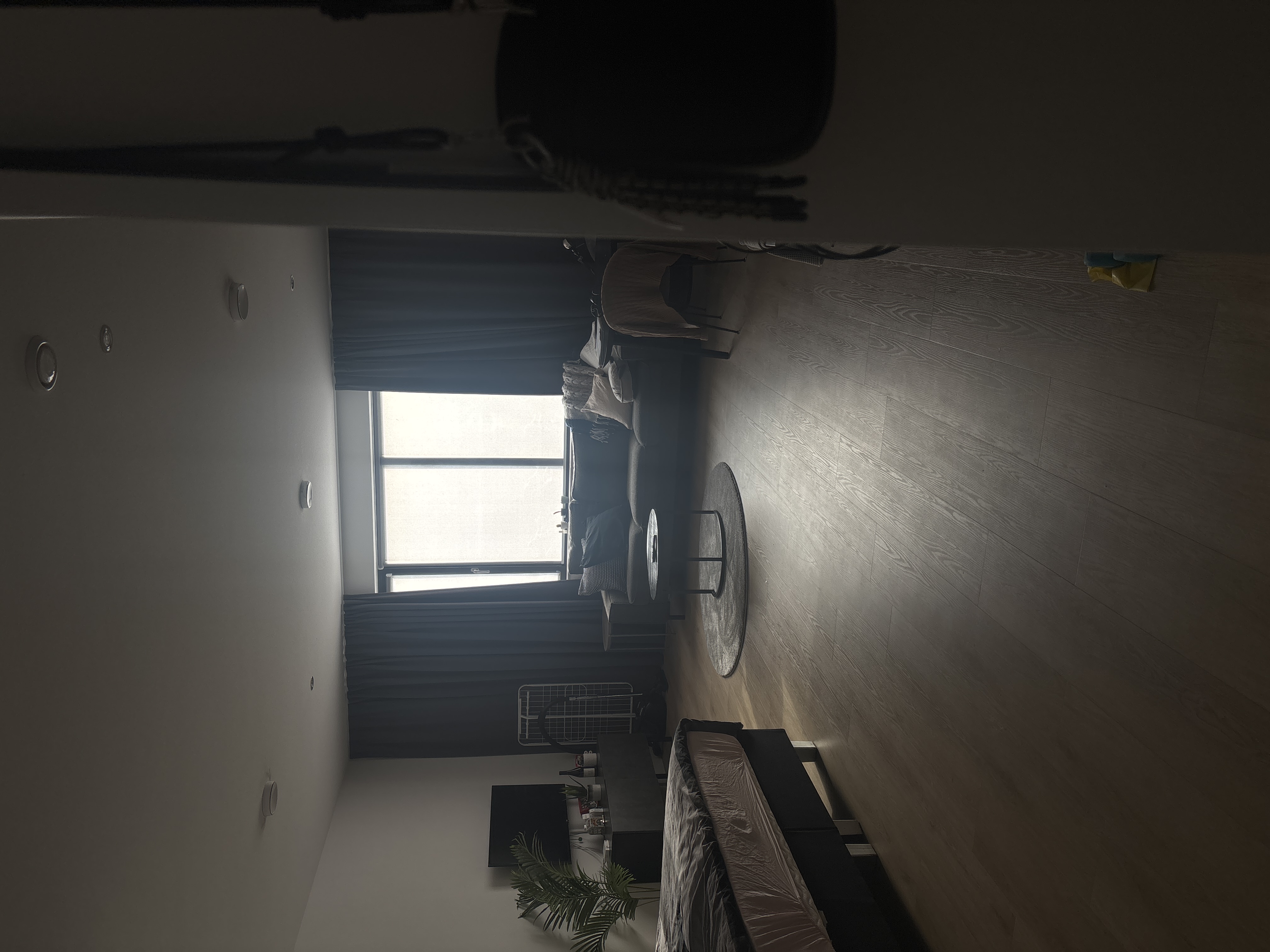 image-19