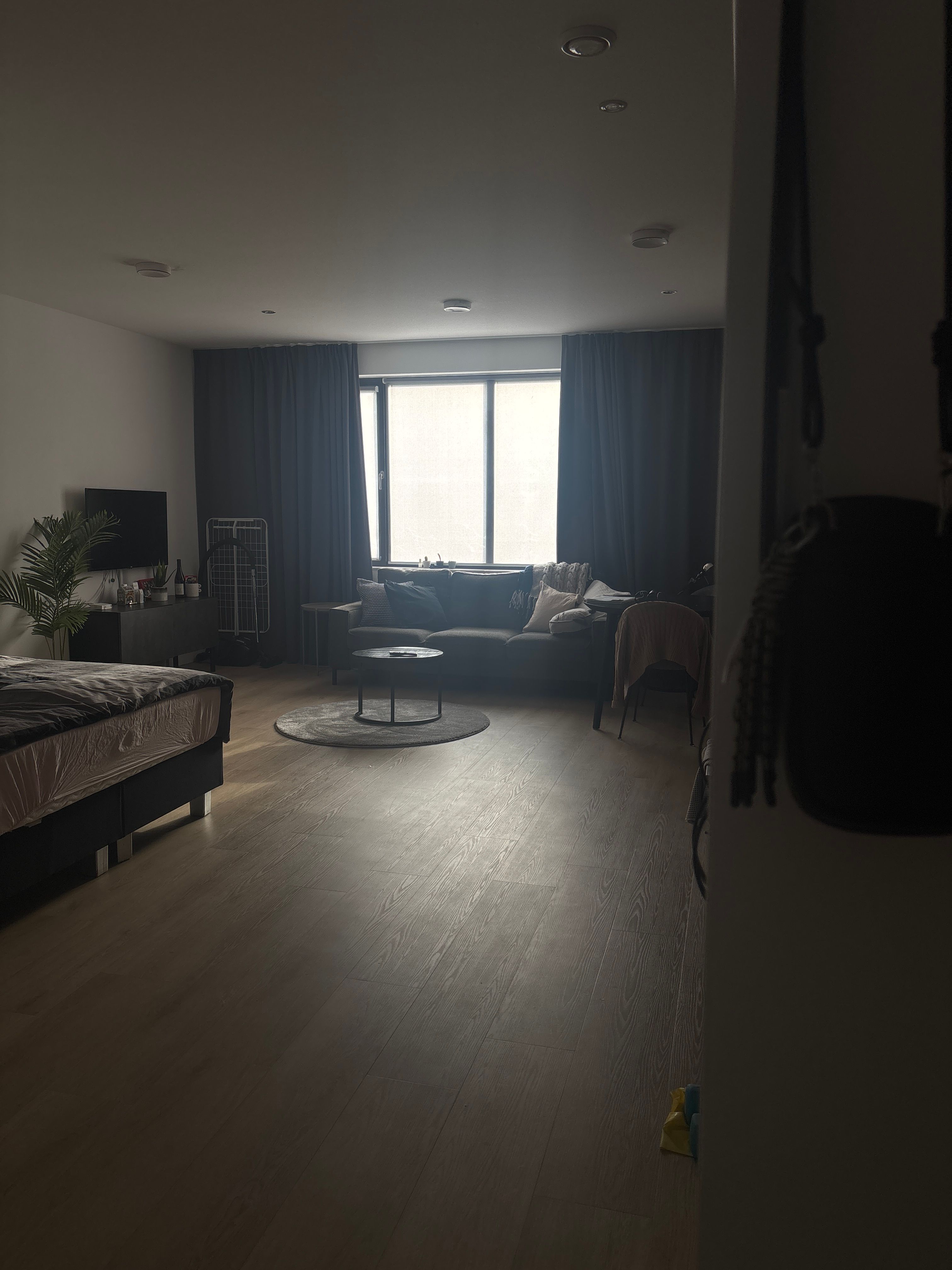 image-19
