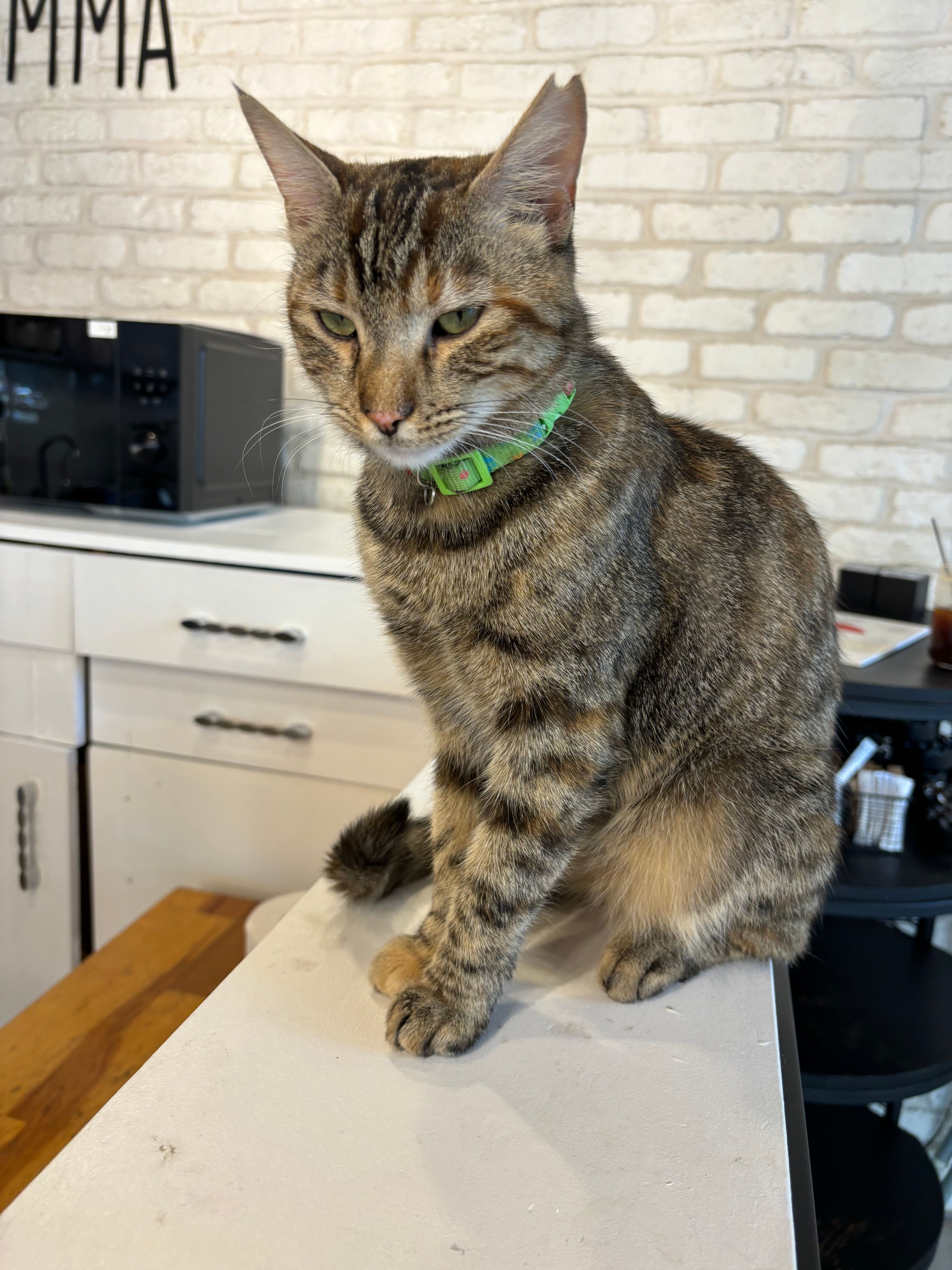 image-16