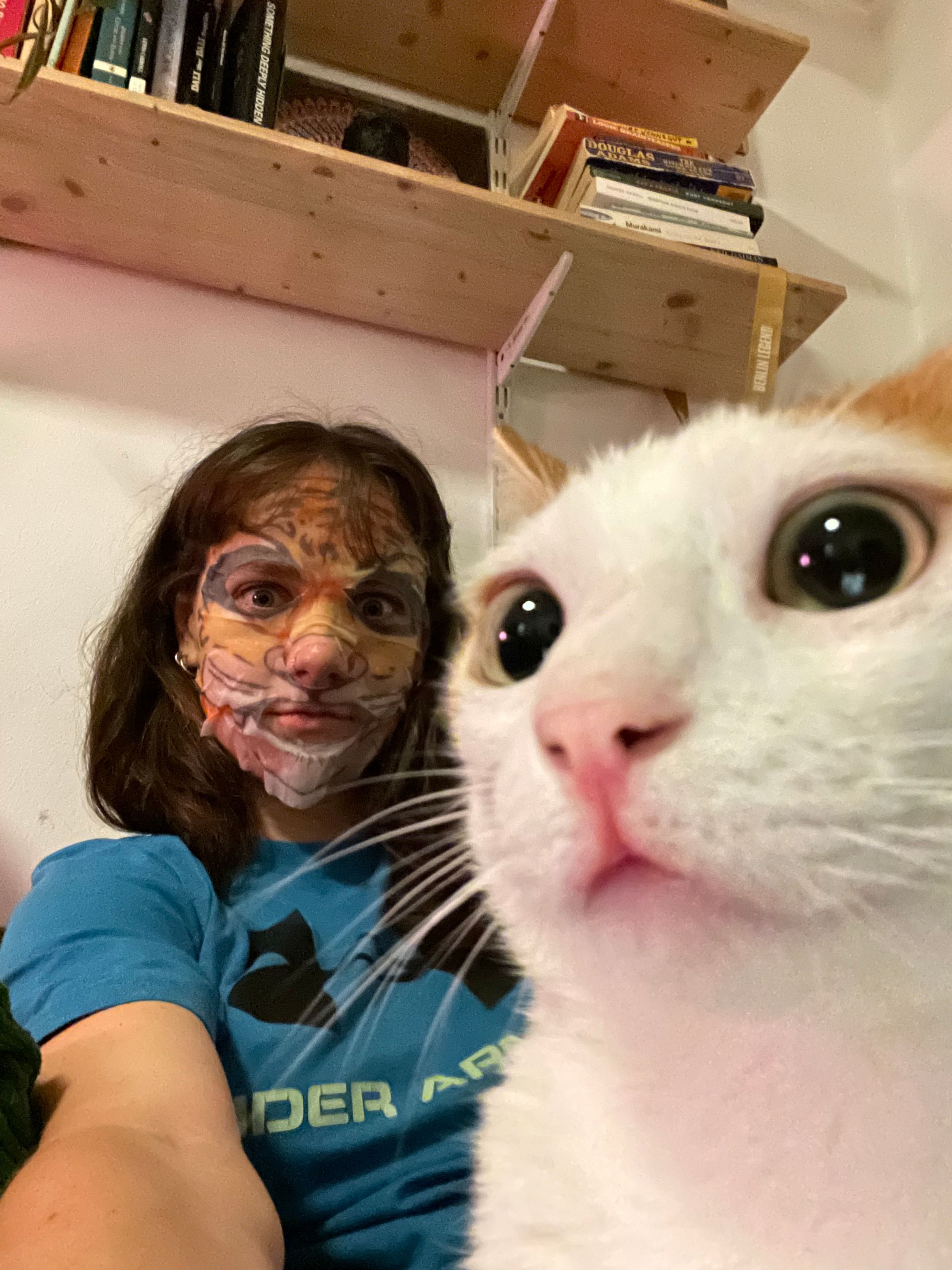 image-14