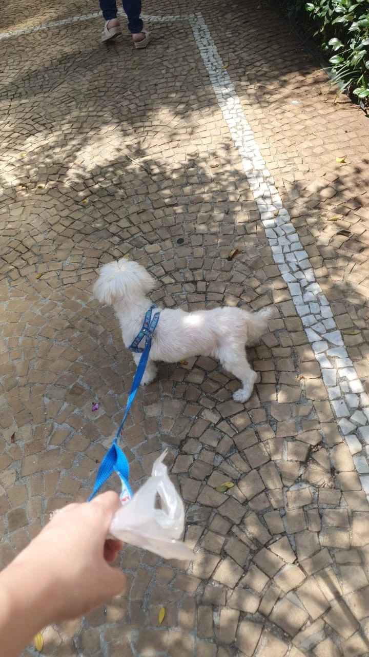 image-18