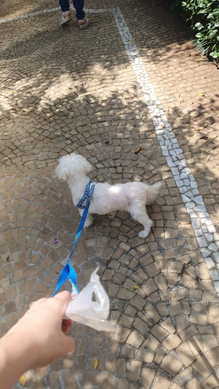 image-18