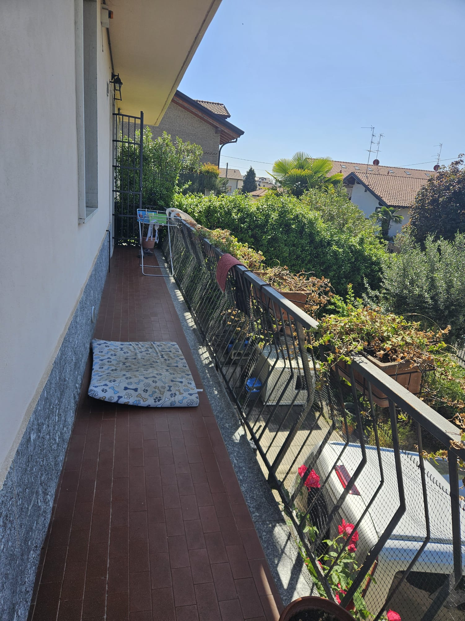 image-26