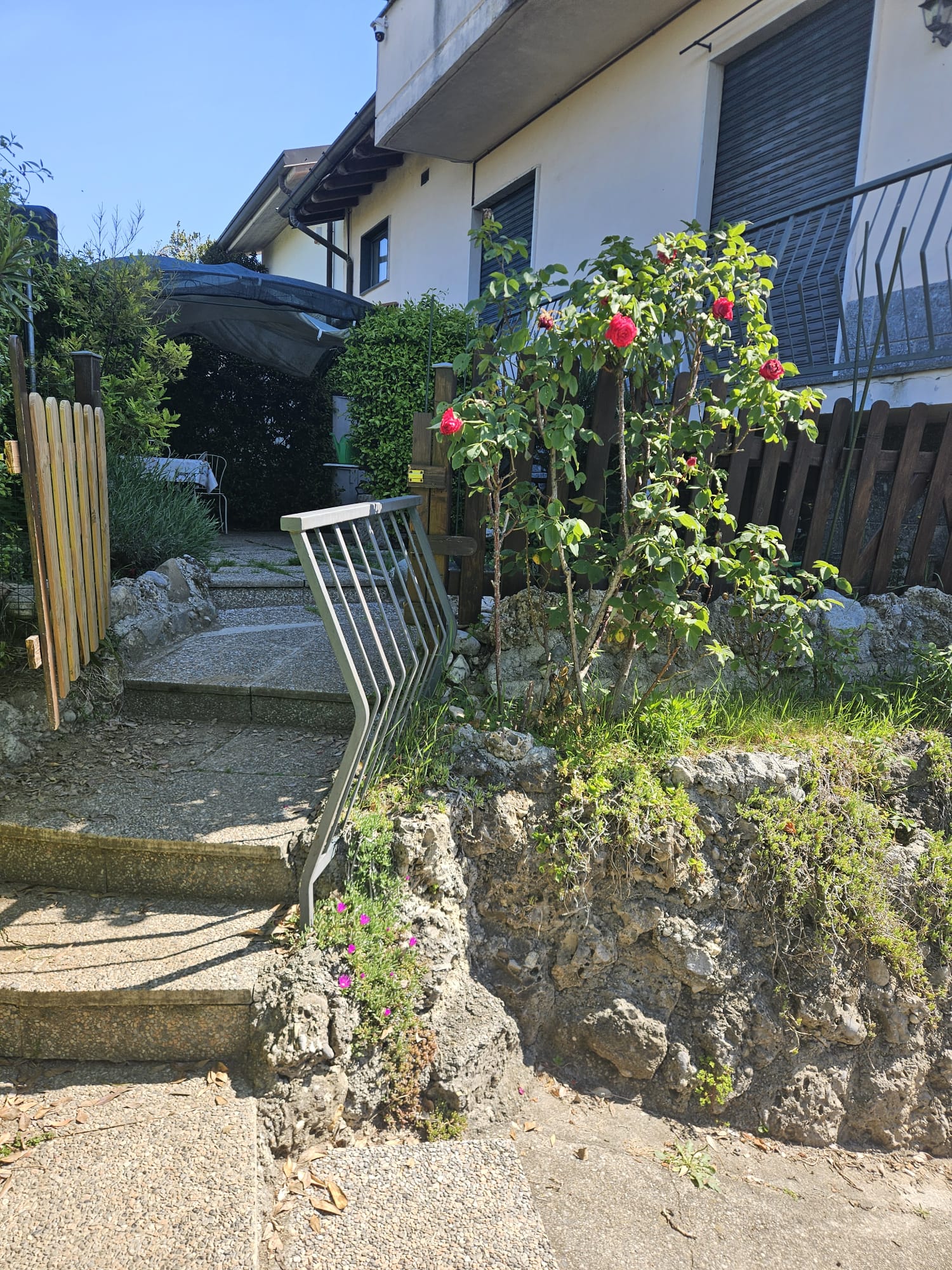 image-22