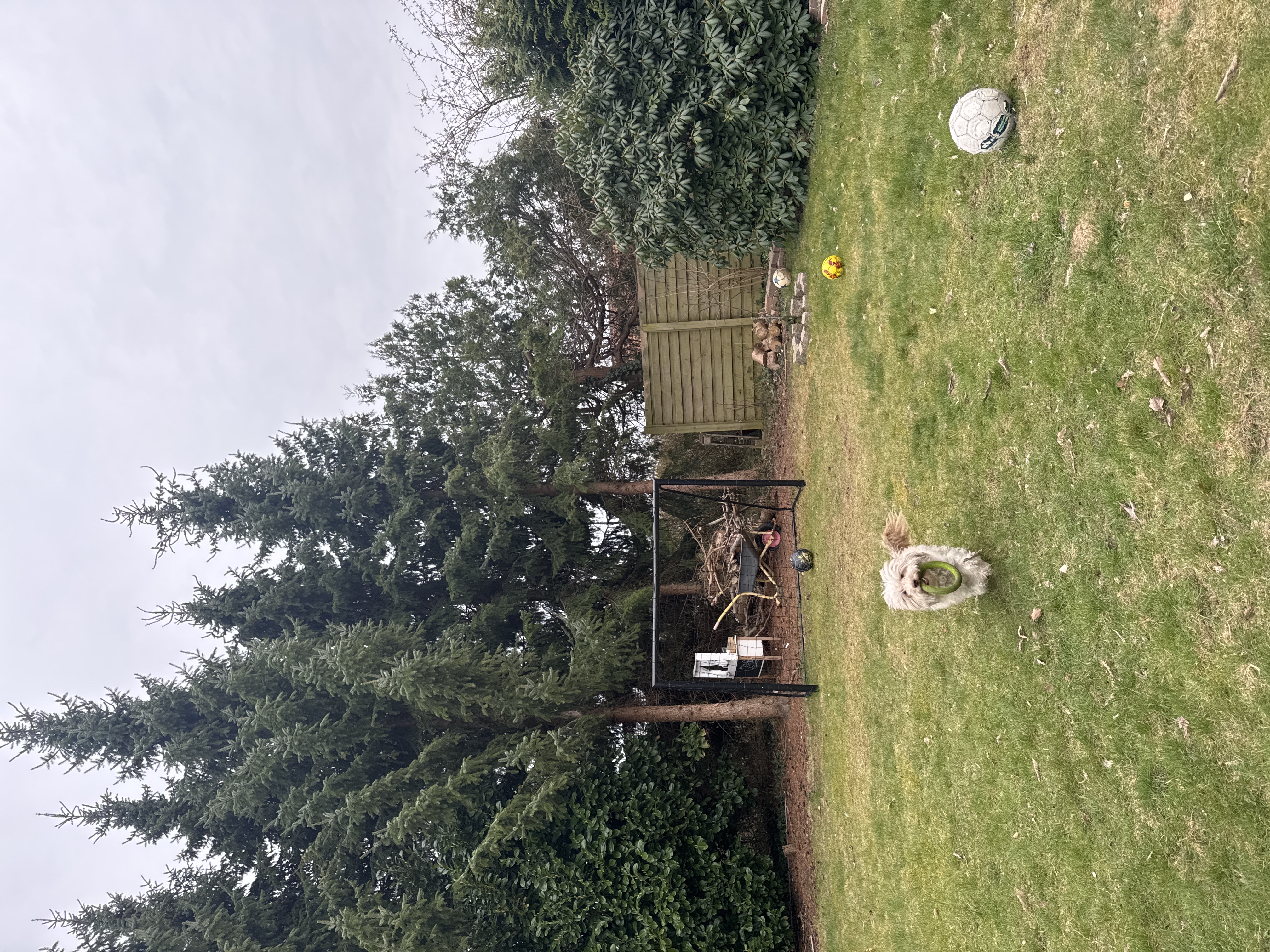 image-8
