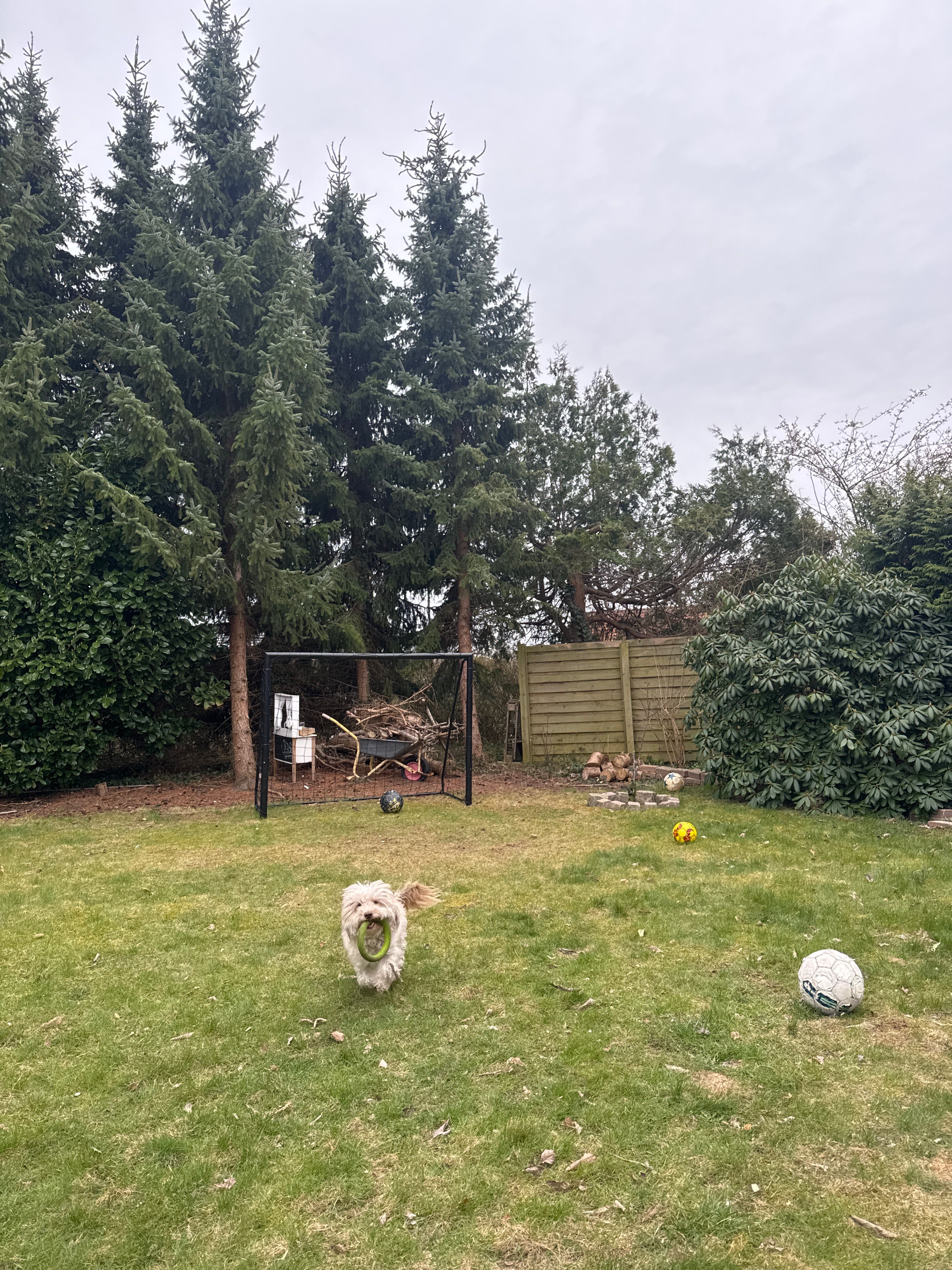 image-8