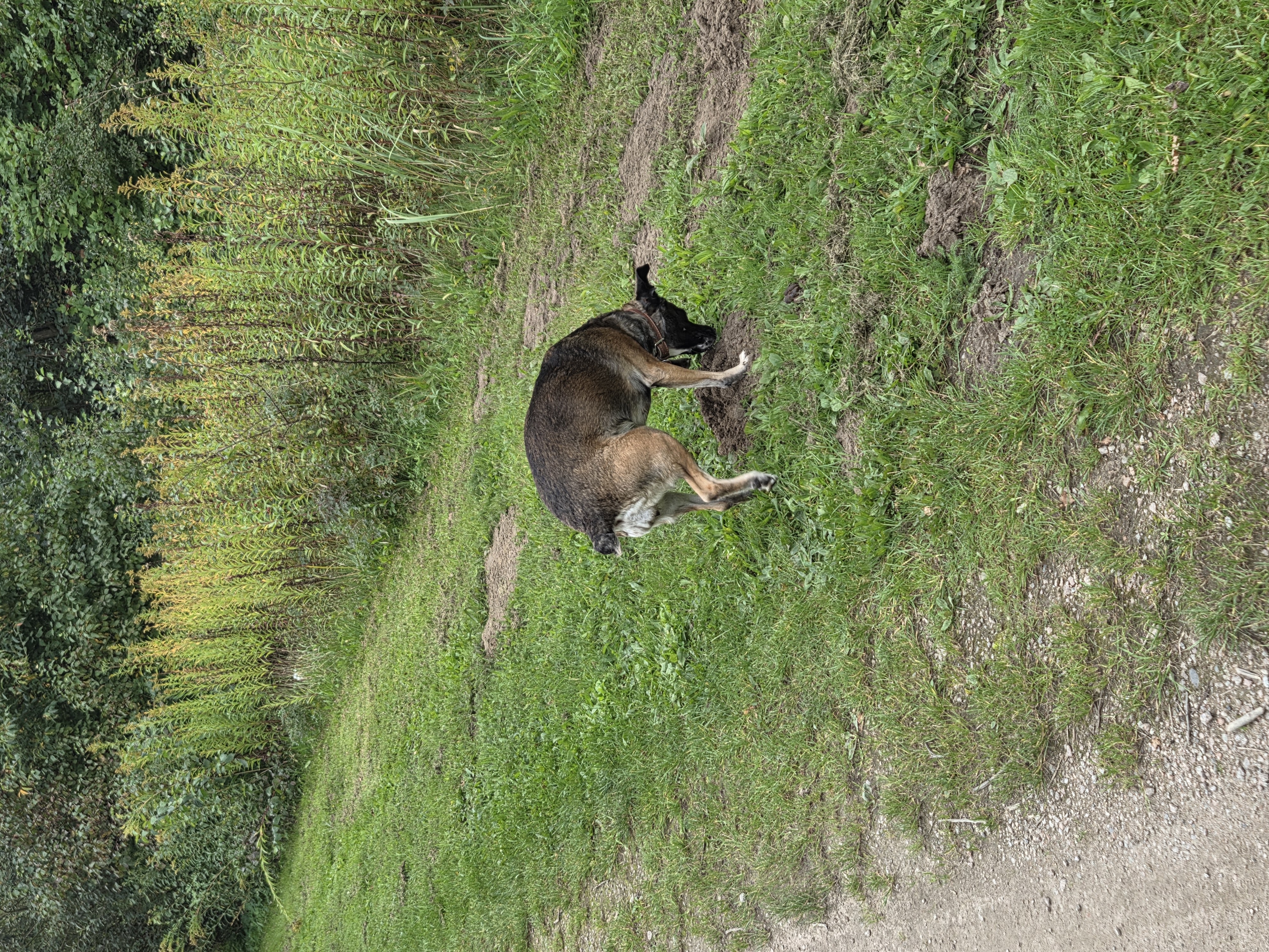 image-18
