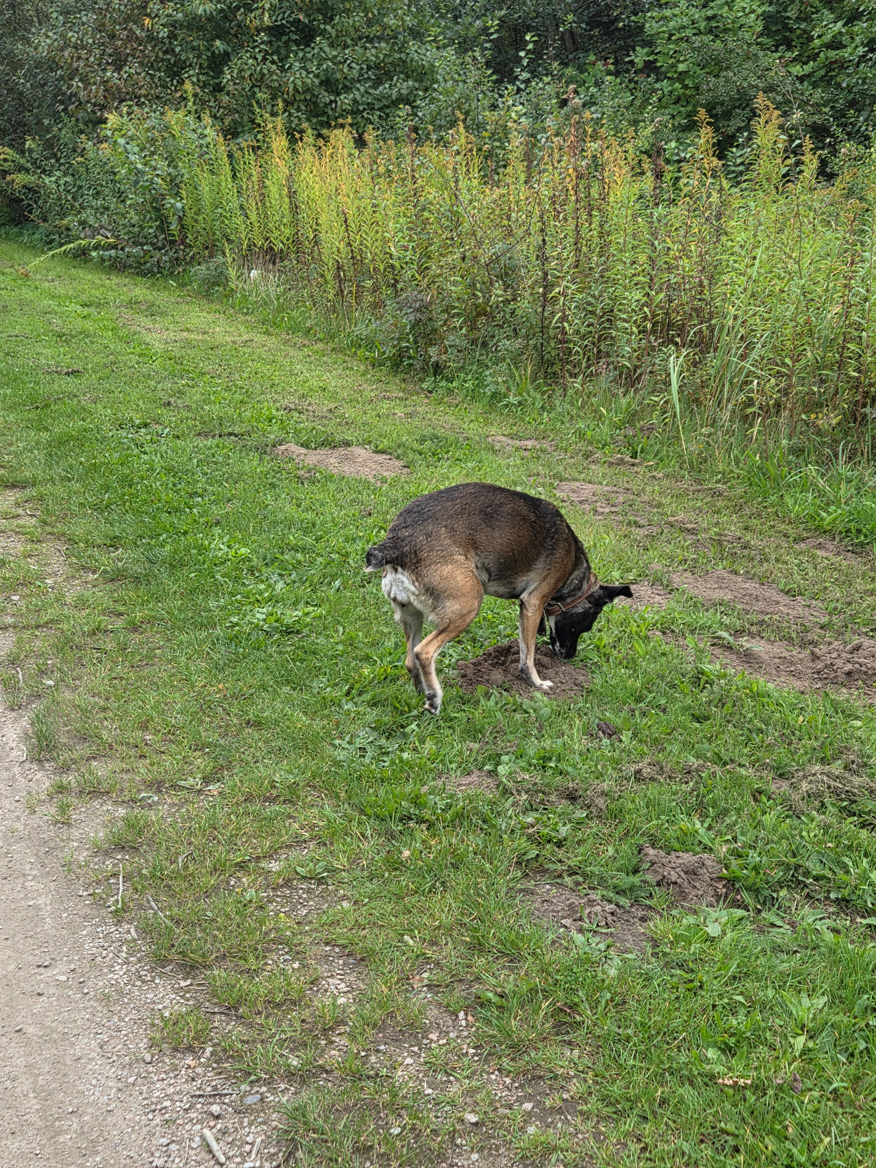 image-18