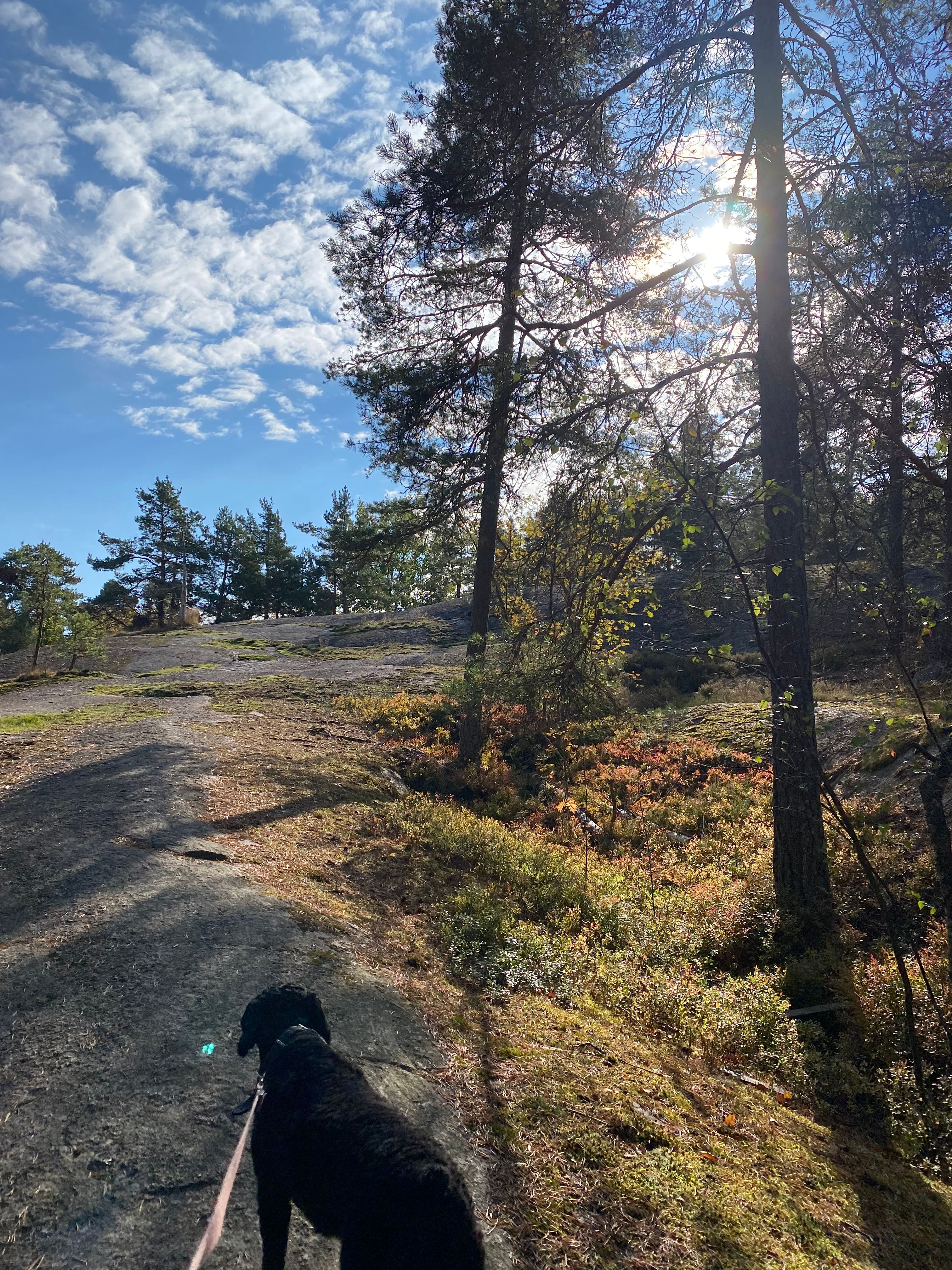 image-7