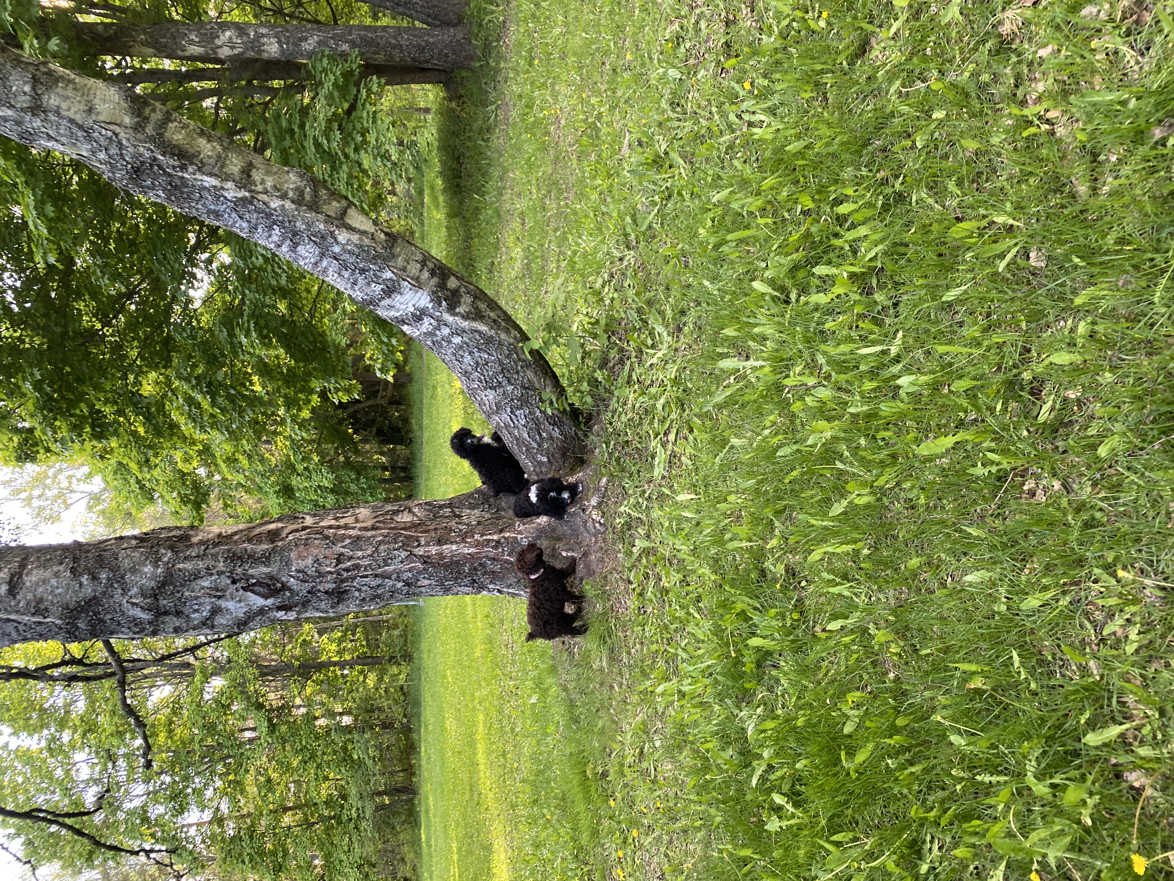 image-2