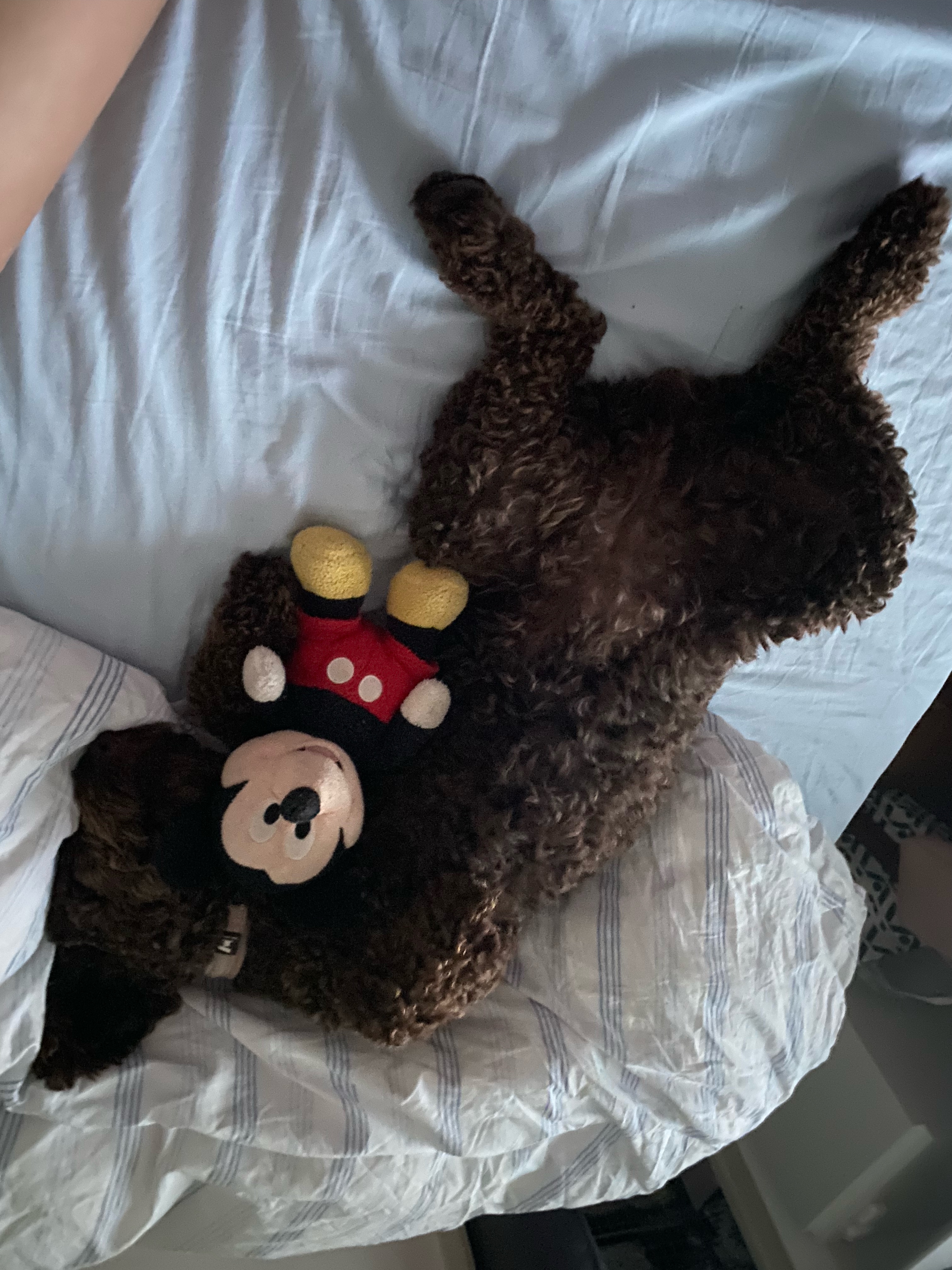 image-5