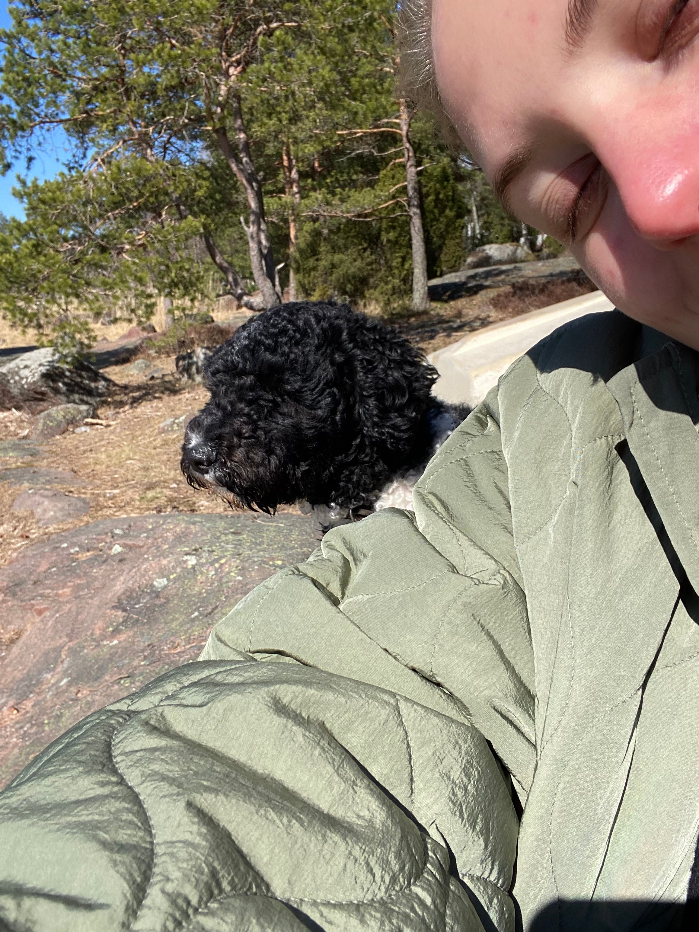 image-15