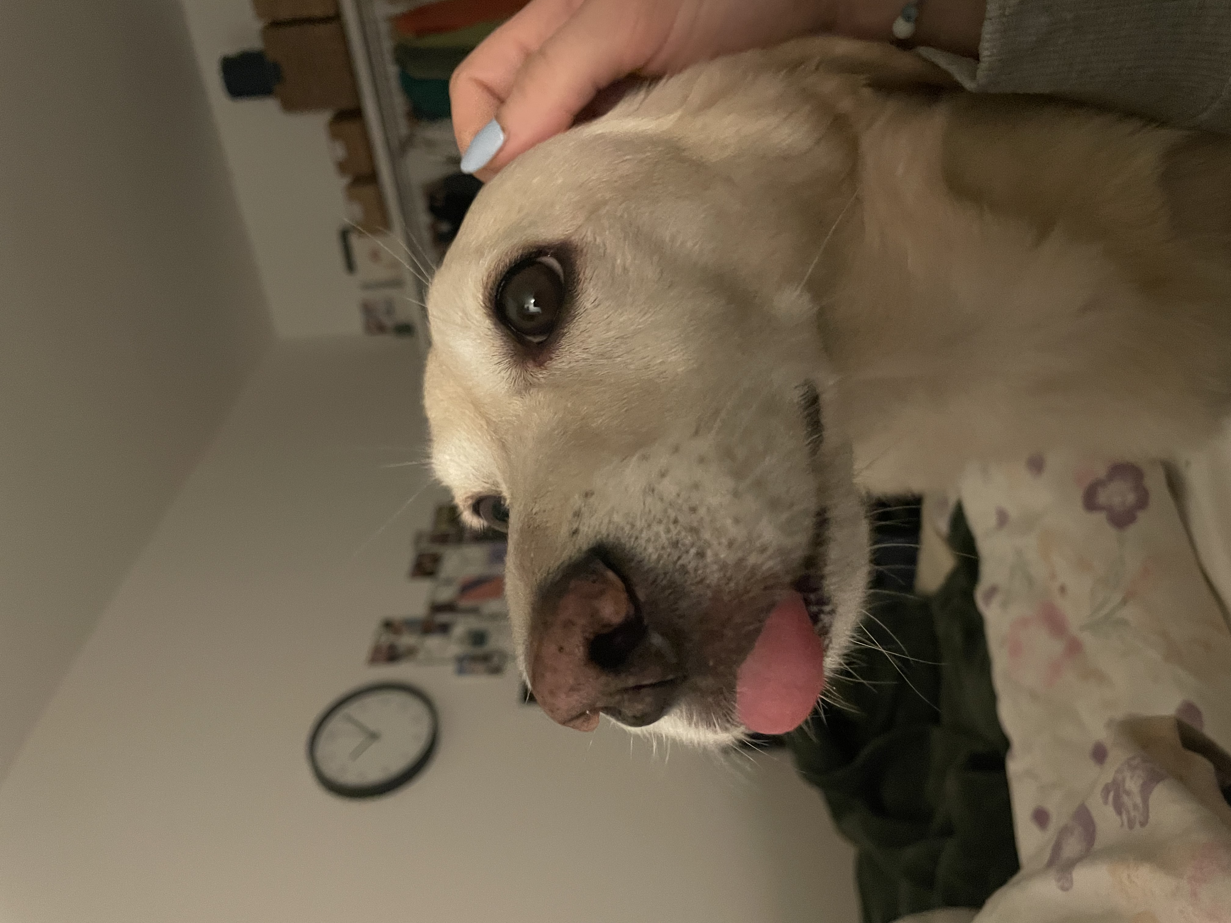 image-6