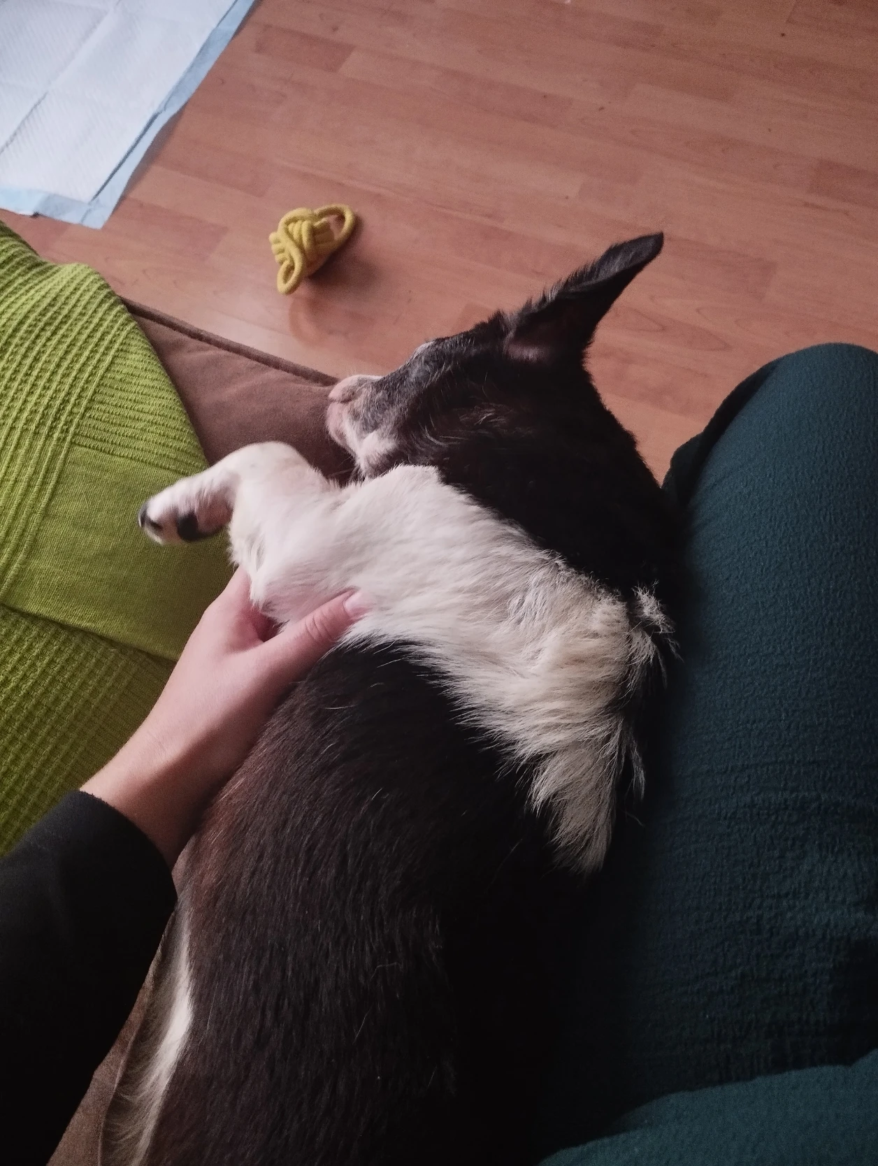 image-7