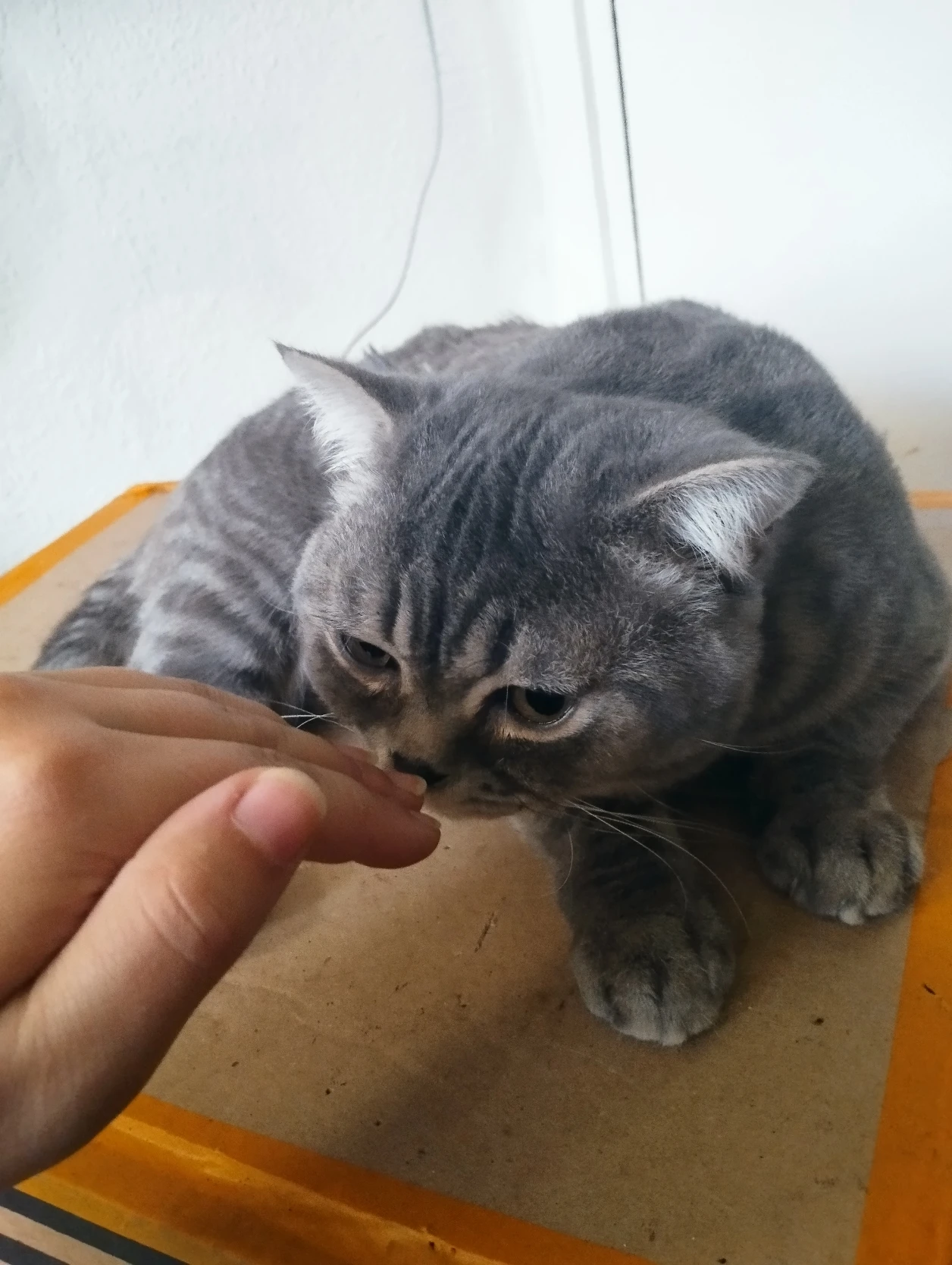 image-16