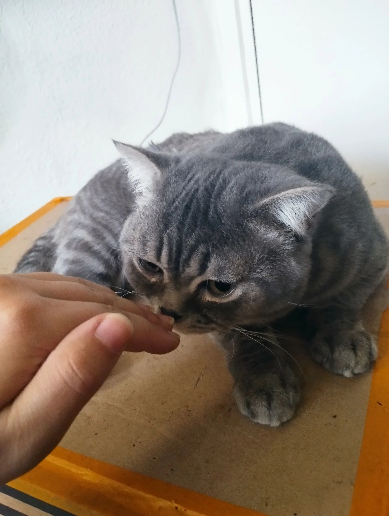 image-16